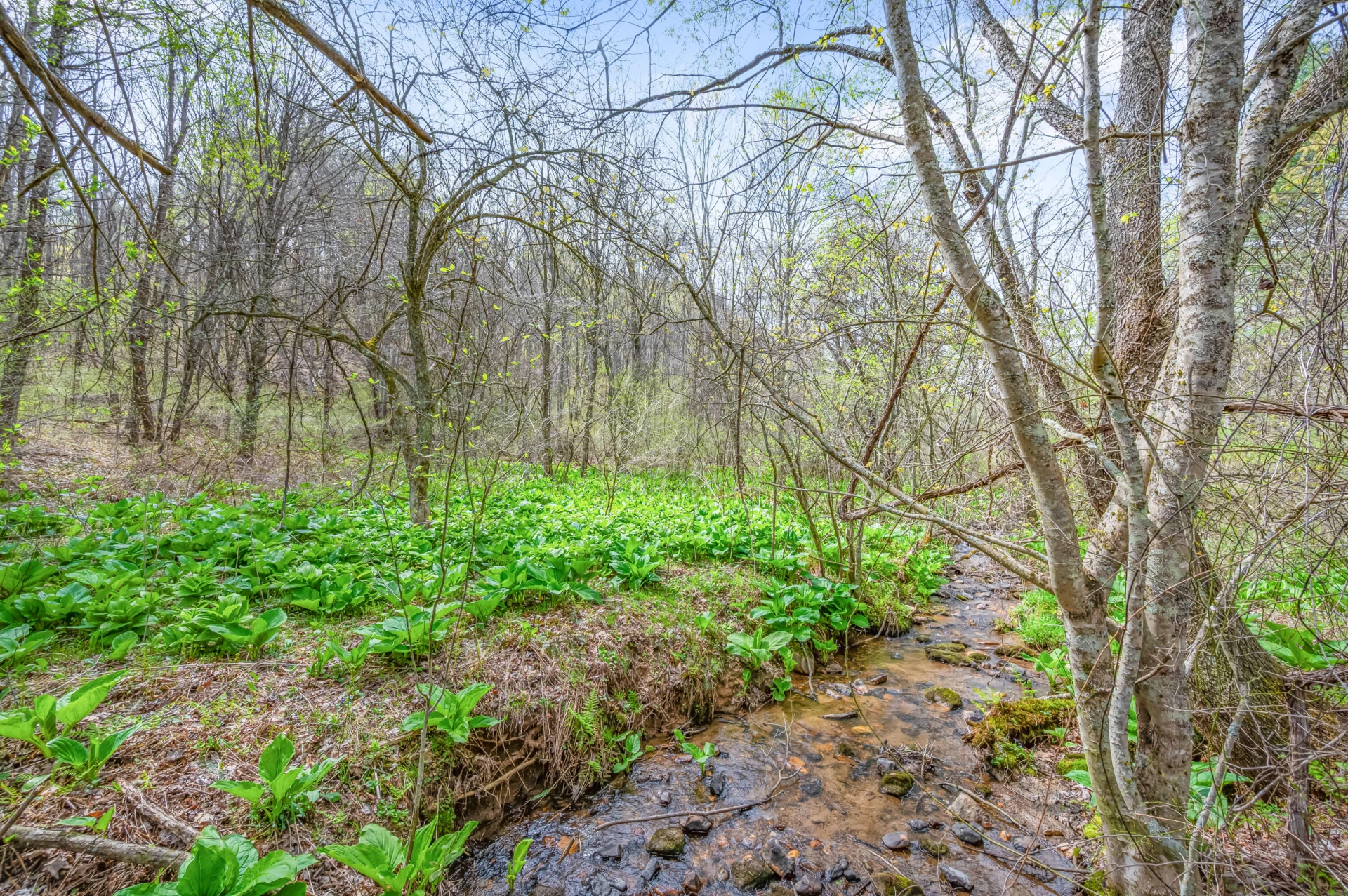 65 Acres Dugspur Rd - Photo 61