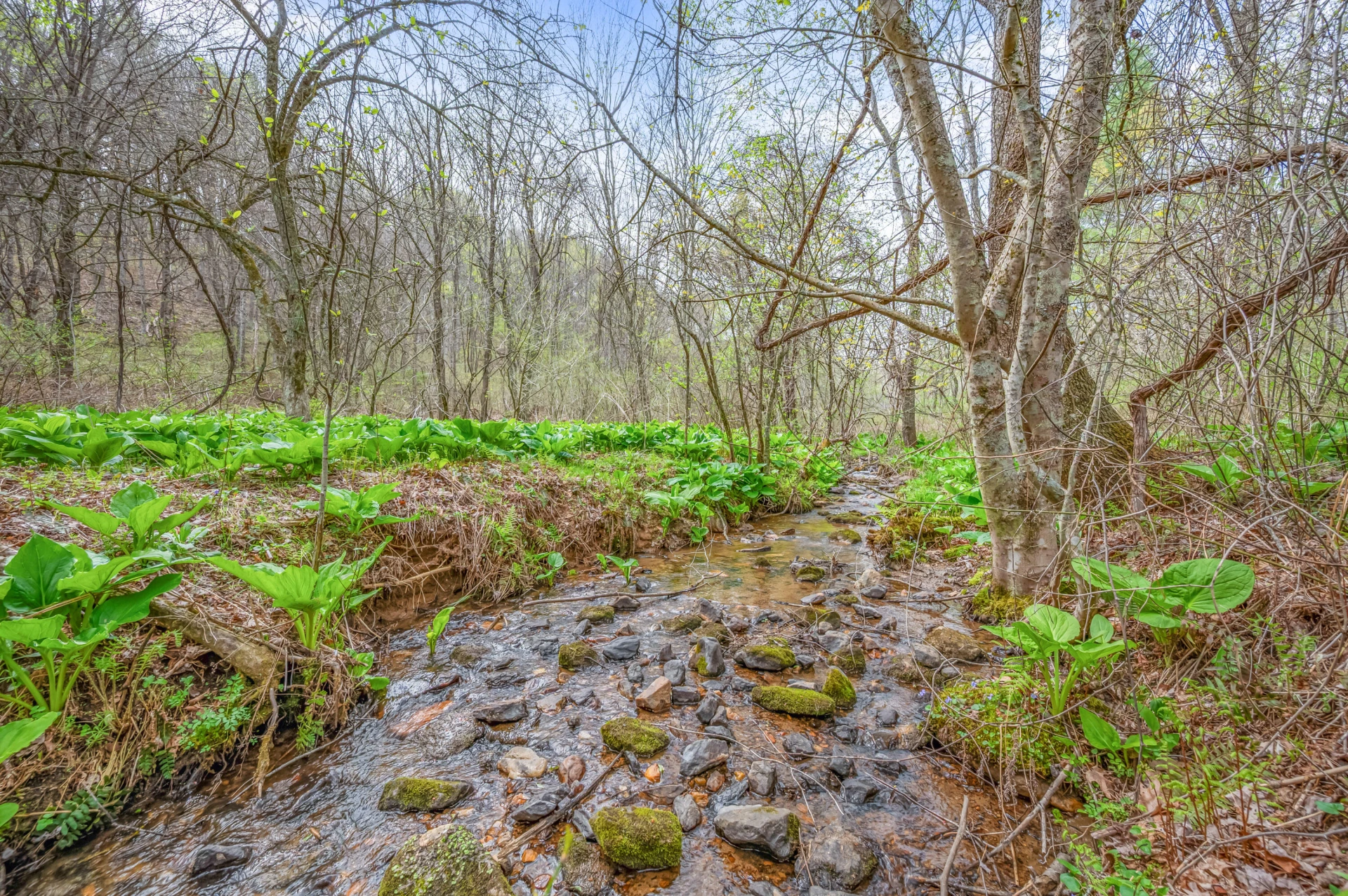 65 Acres Dugspur Rd - Photo 62