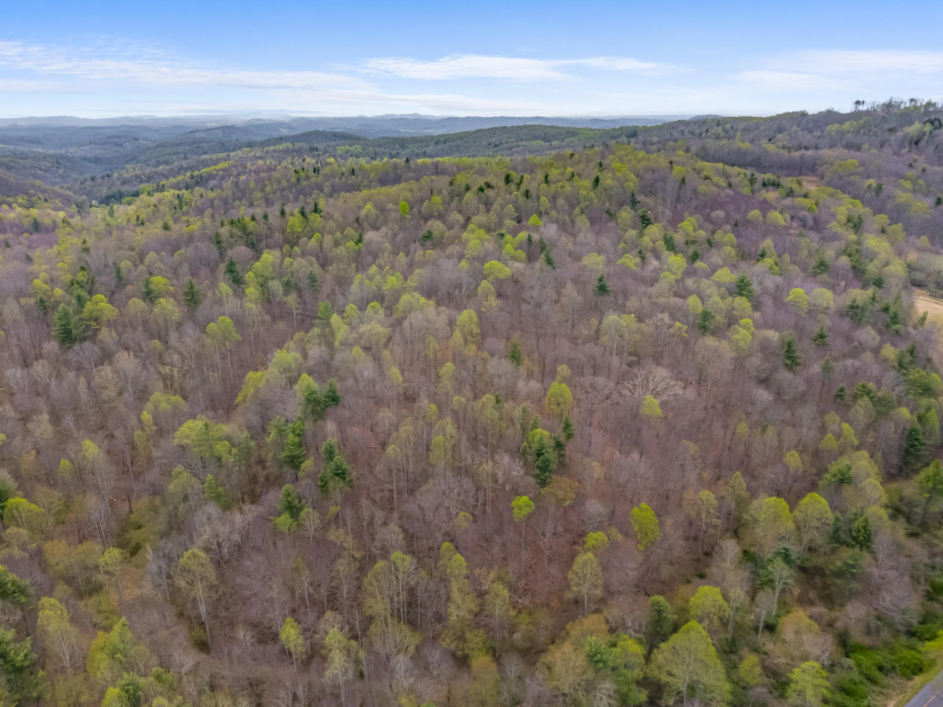 65 Acres Dugspur Rd - Photo 77