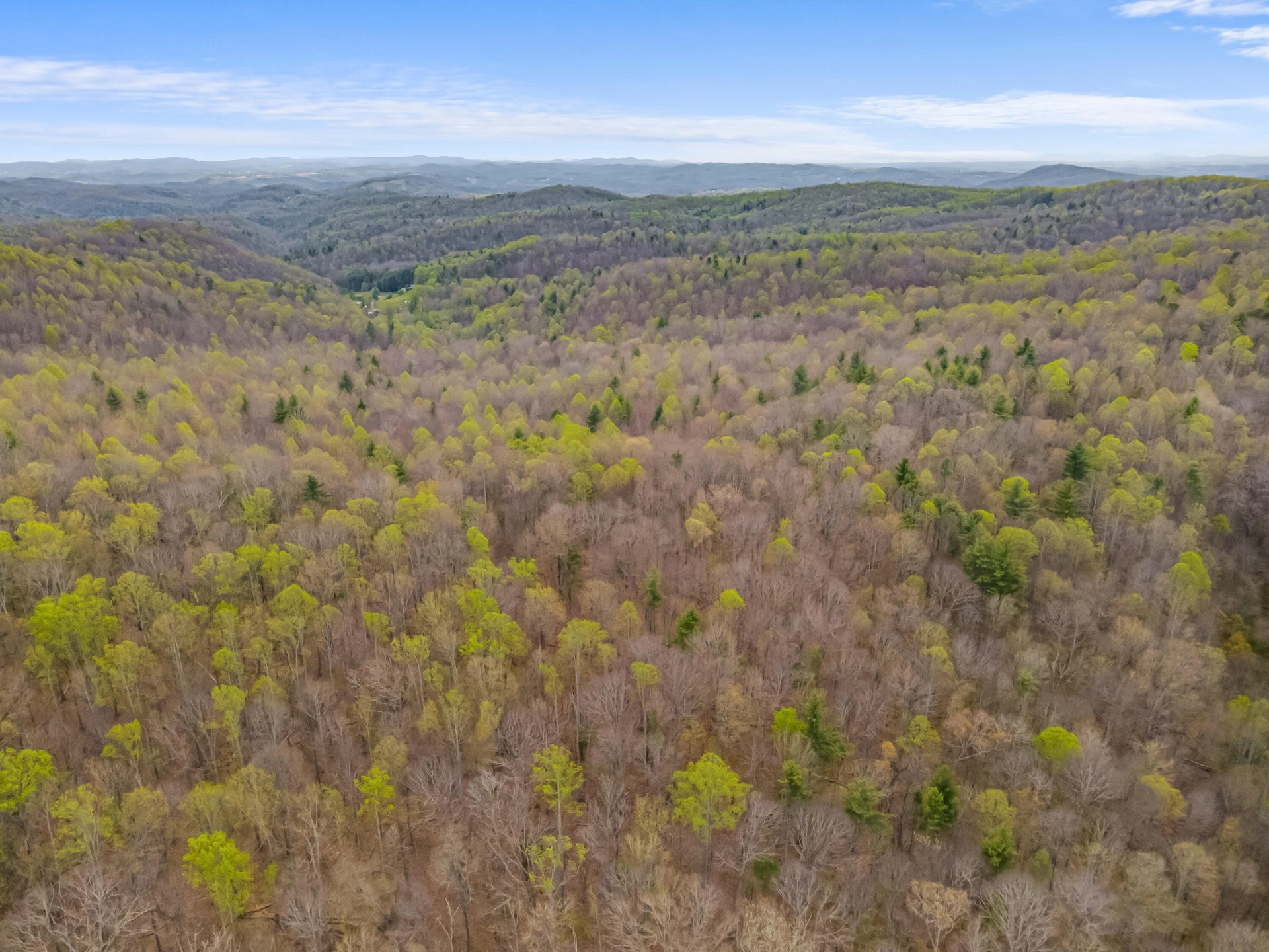 65 Acres Dugspur Rd - Photo 83