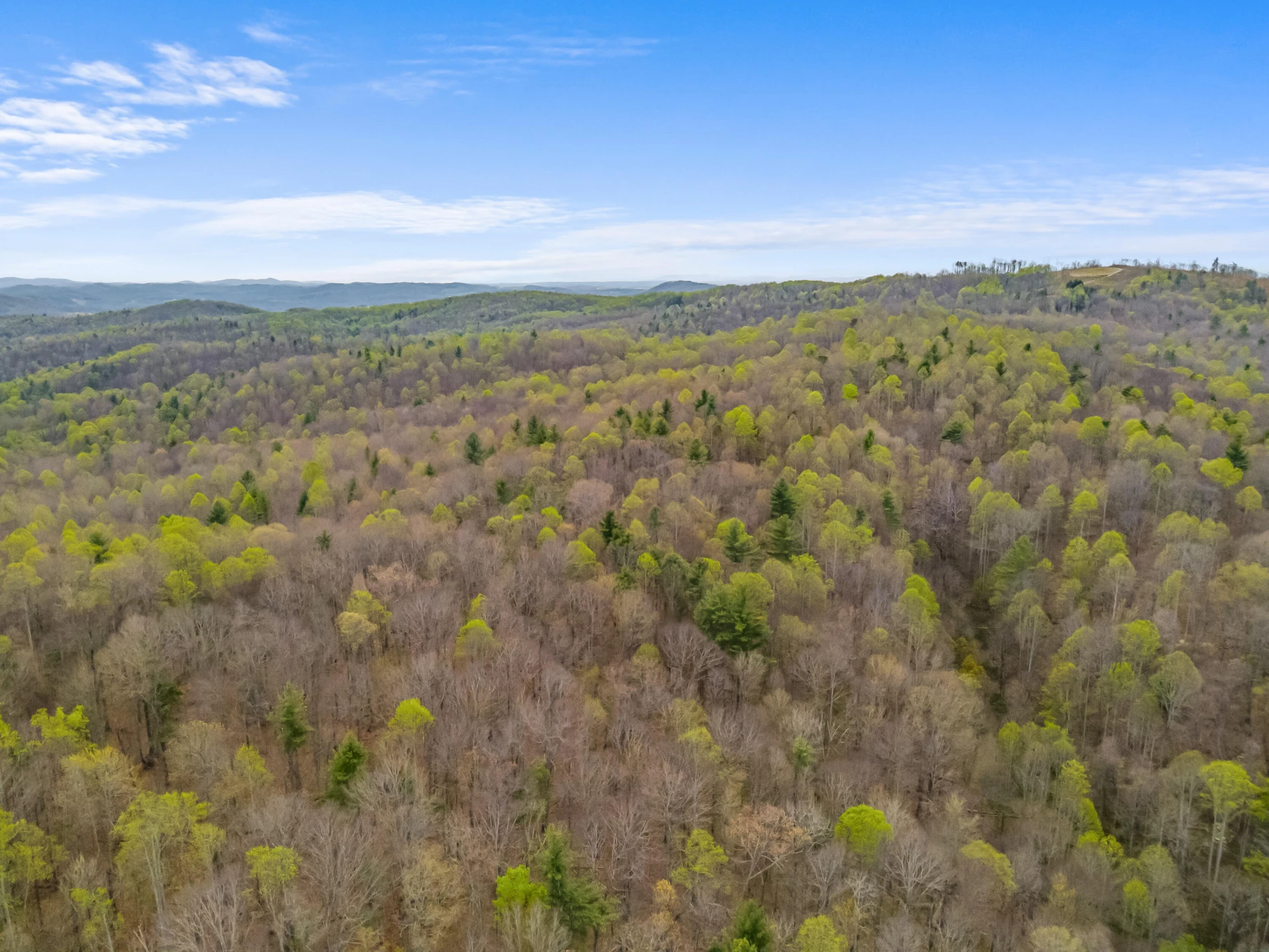 65 Acres Dugspur Rd - Photo 85