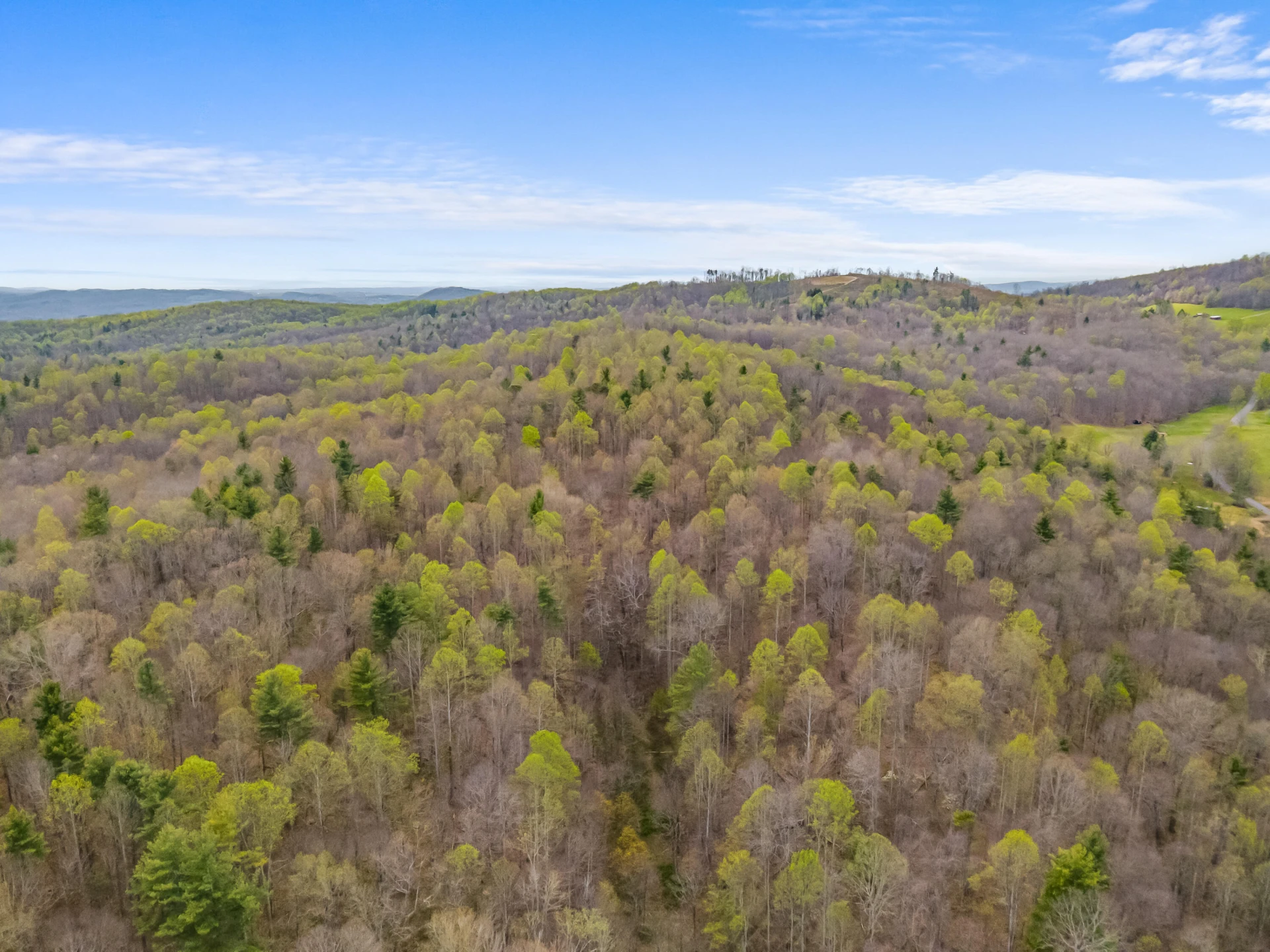 65 Acres Dugspur Rd - Photo 86