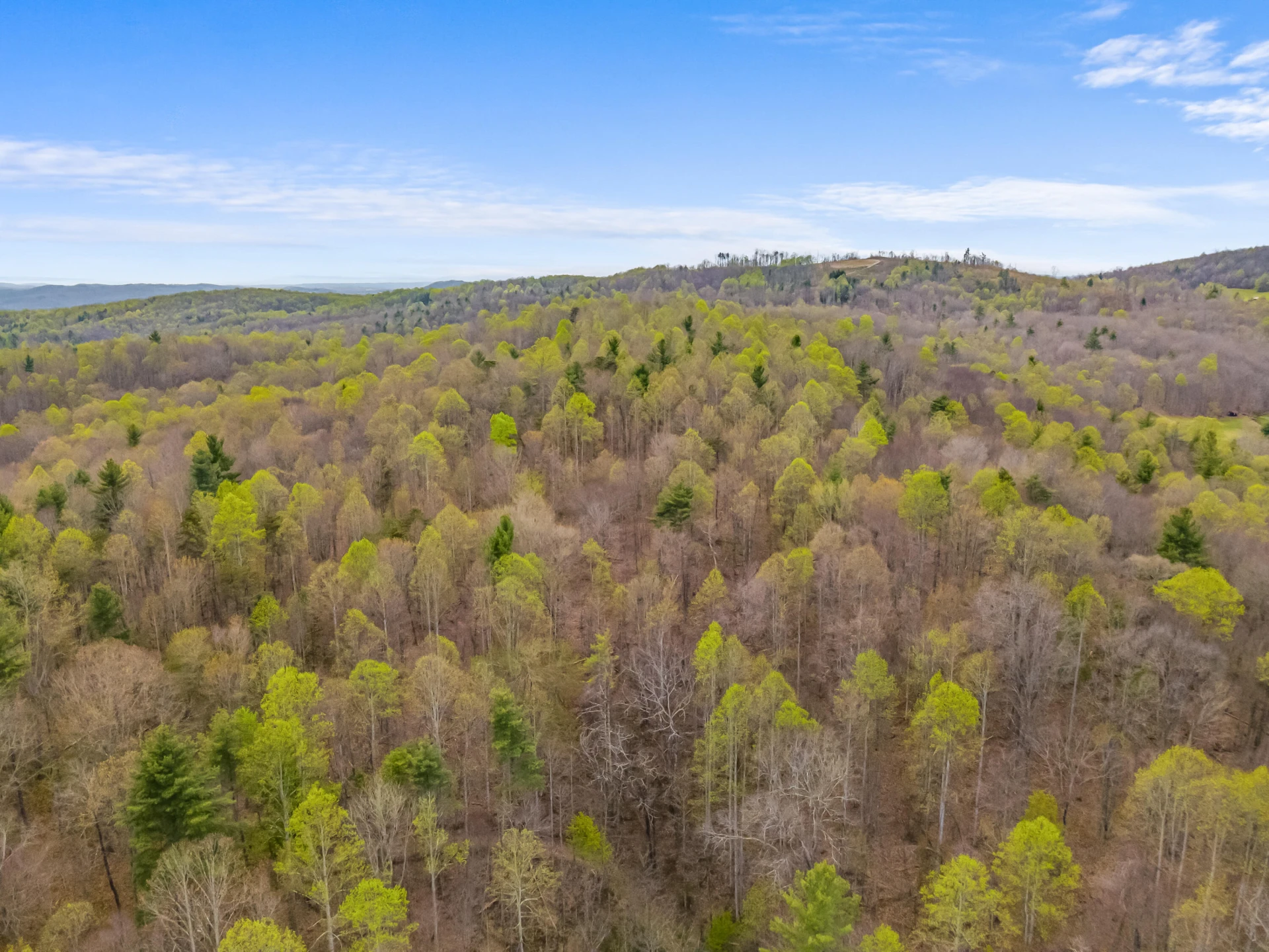 65 Acres Dugspur Rd - Photo 87