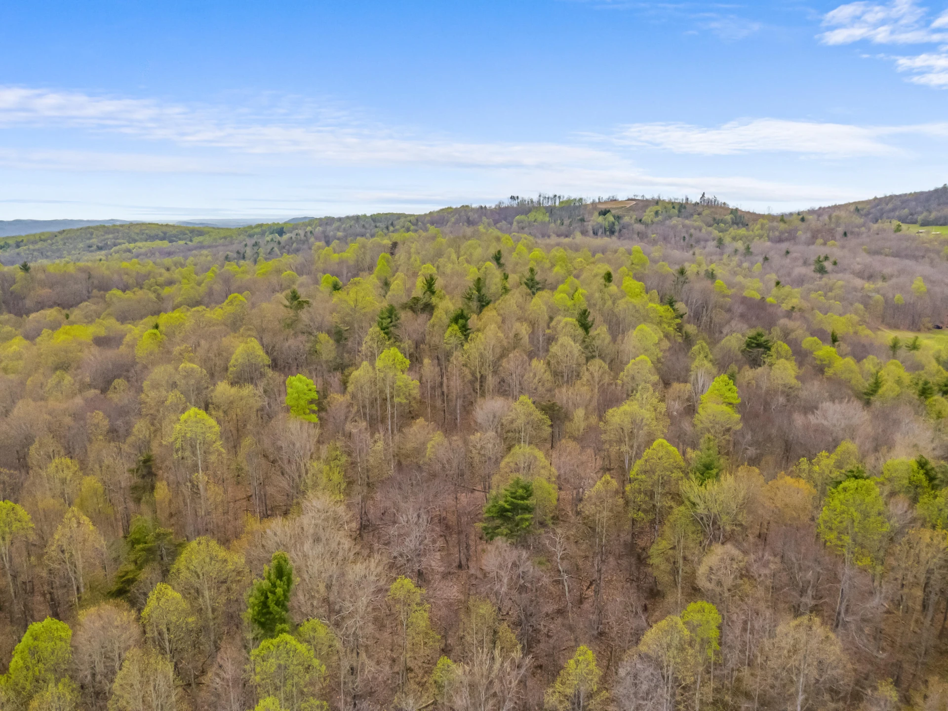 65 Acres Dugspur Rd - Photo 88