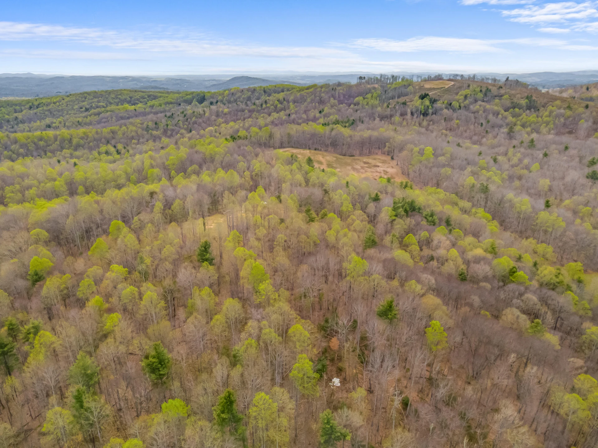 65 Acres Dugspur Rd - Photo 89