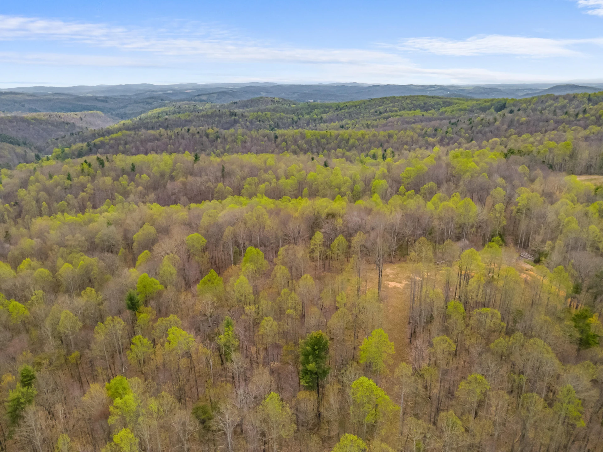 65 Acres Dugspur Rd - Photo 90