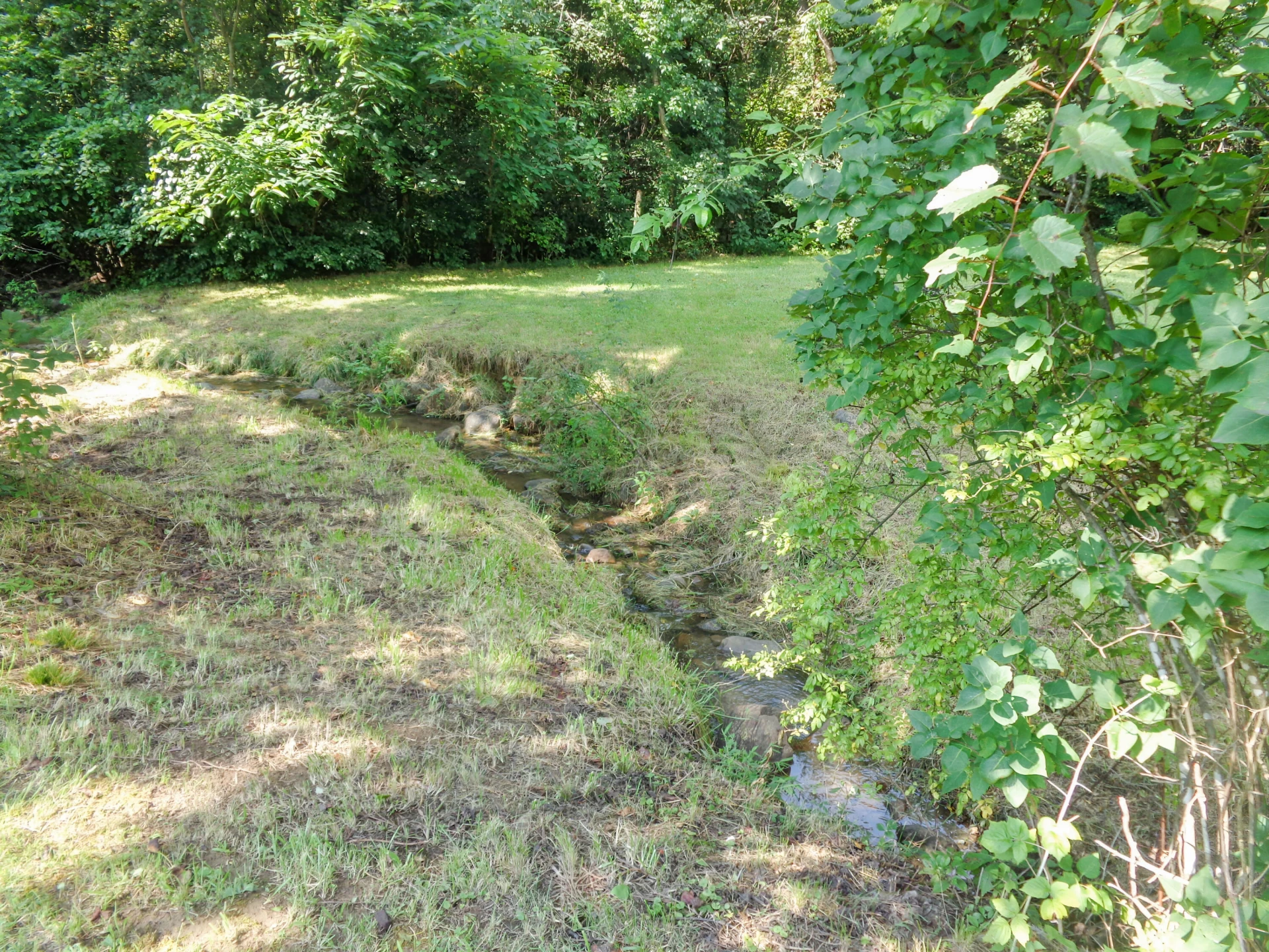 42 Powell RD - Photo 2