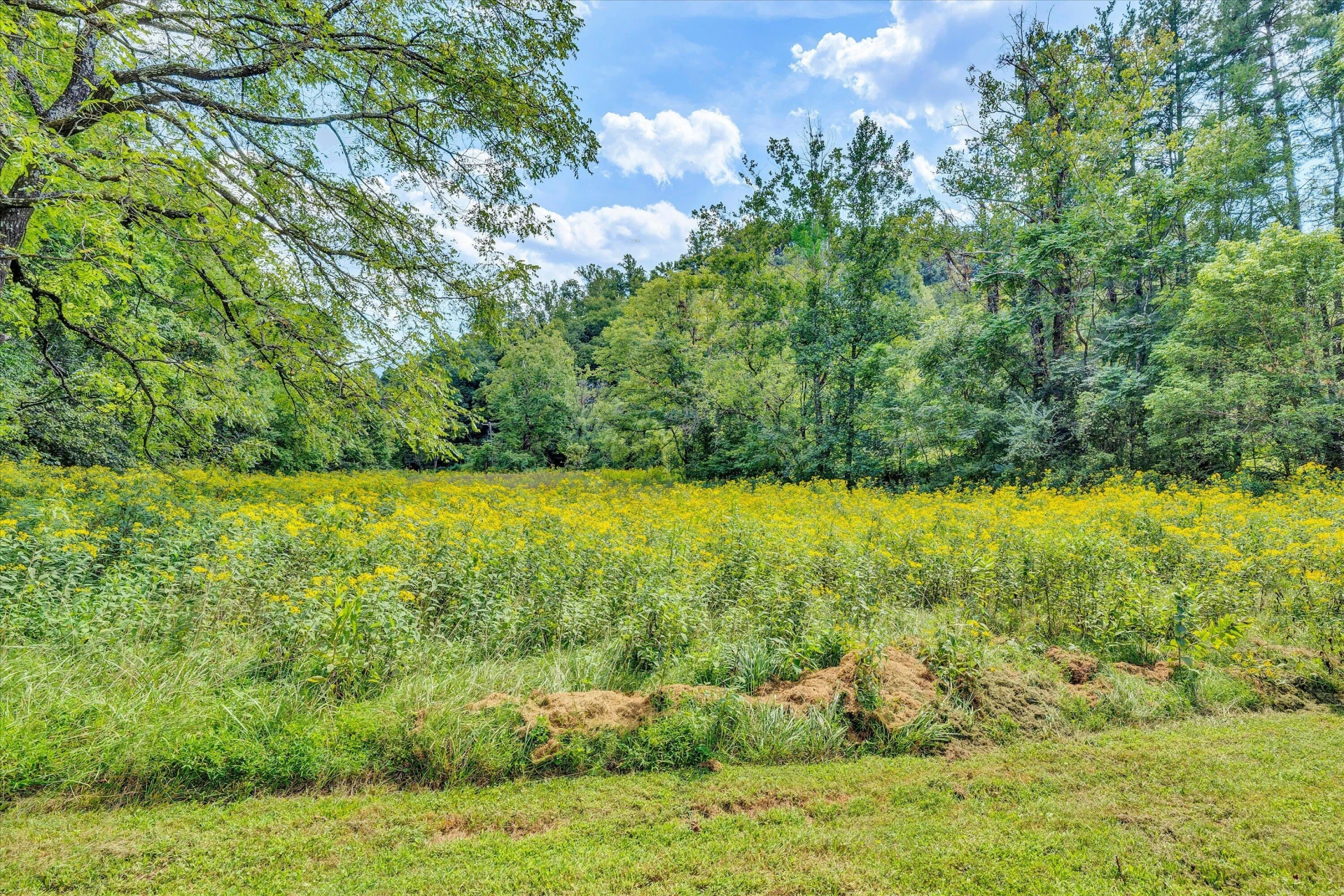 3305 Naff RD - Photo 52