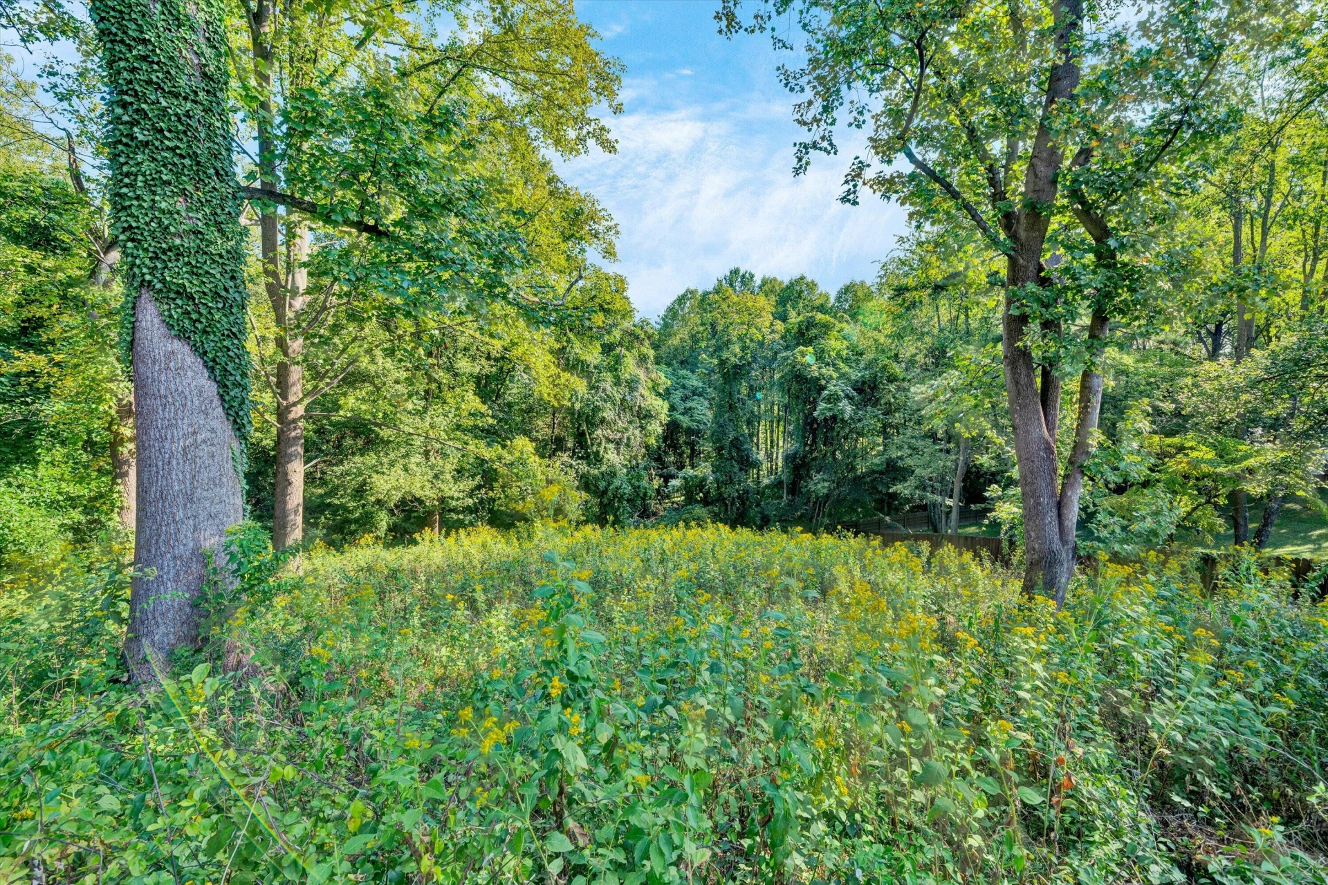 664 Lakeridge CIR - Photo 62