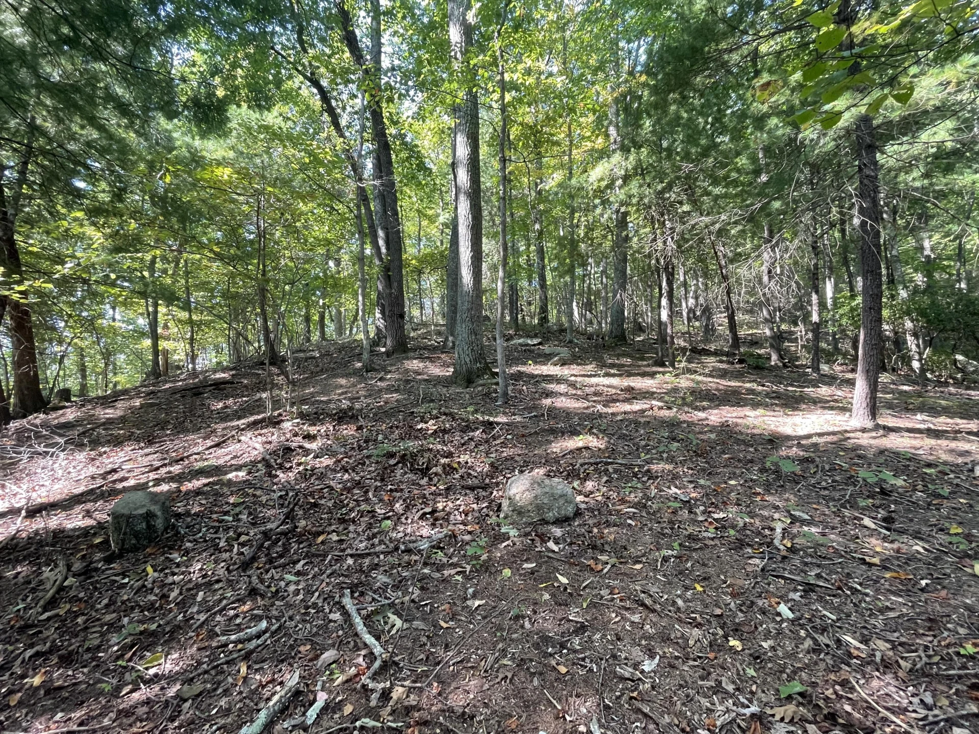 00 Sheep Creek RD - Photo 3