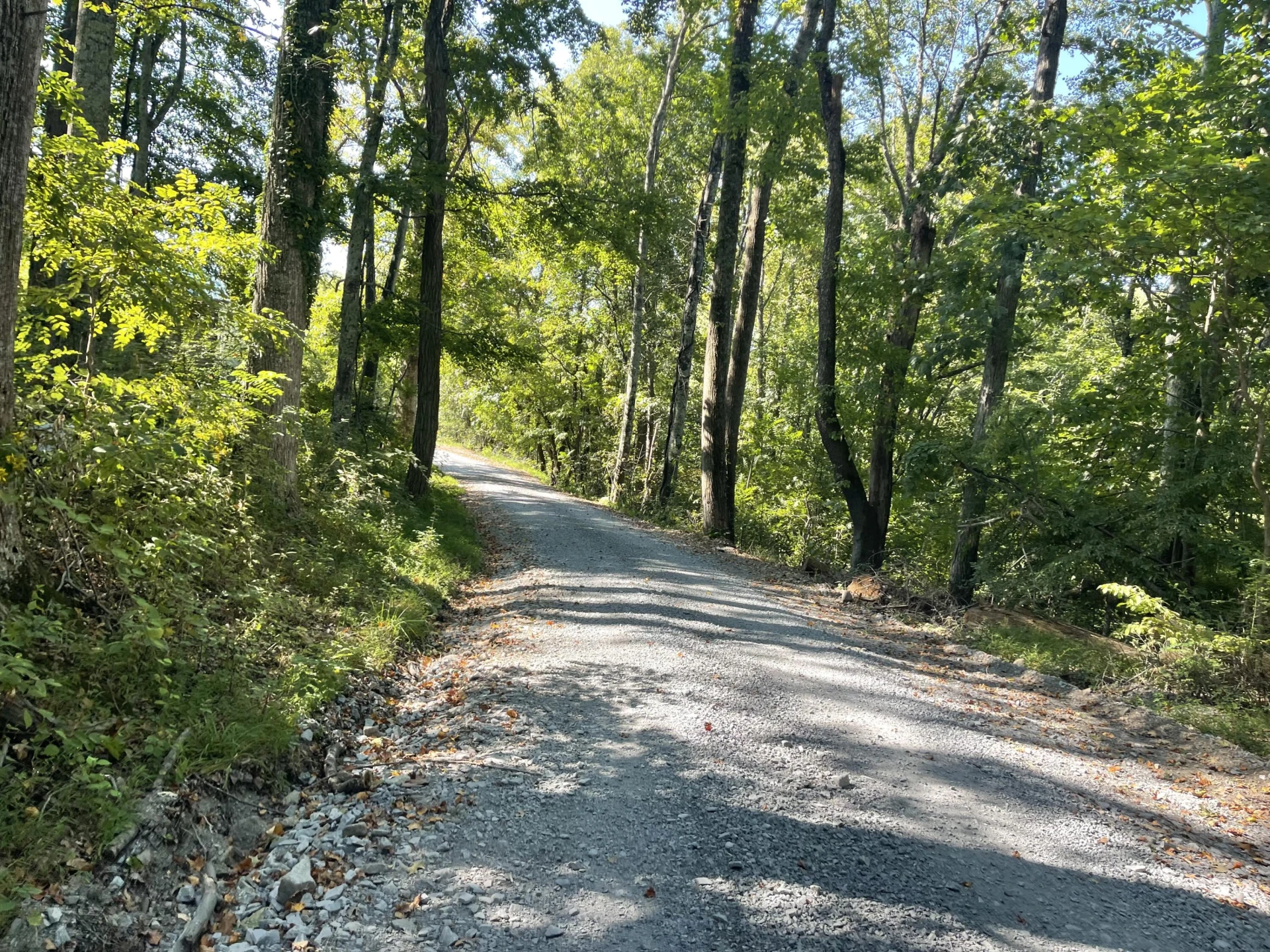 00 Sheep Creek RD - Photo 5