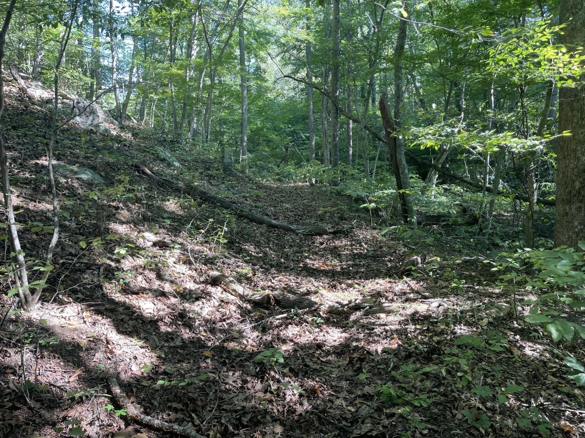 00 Sheep Creek RD - Photo 6