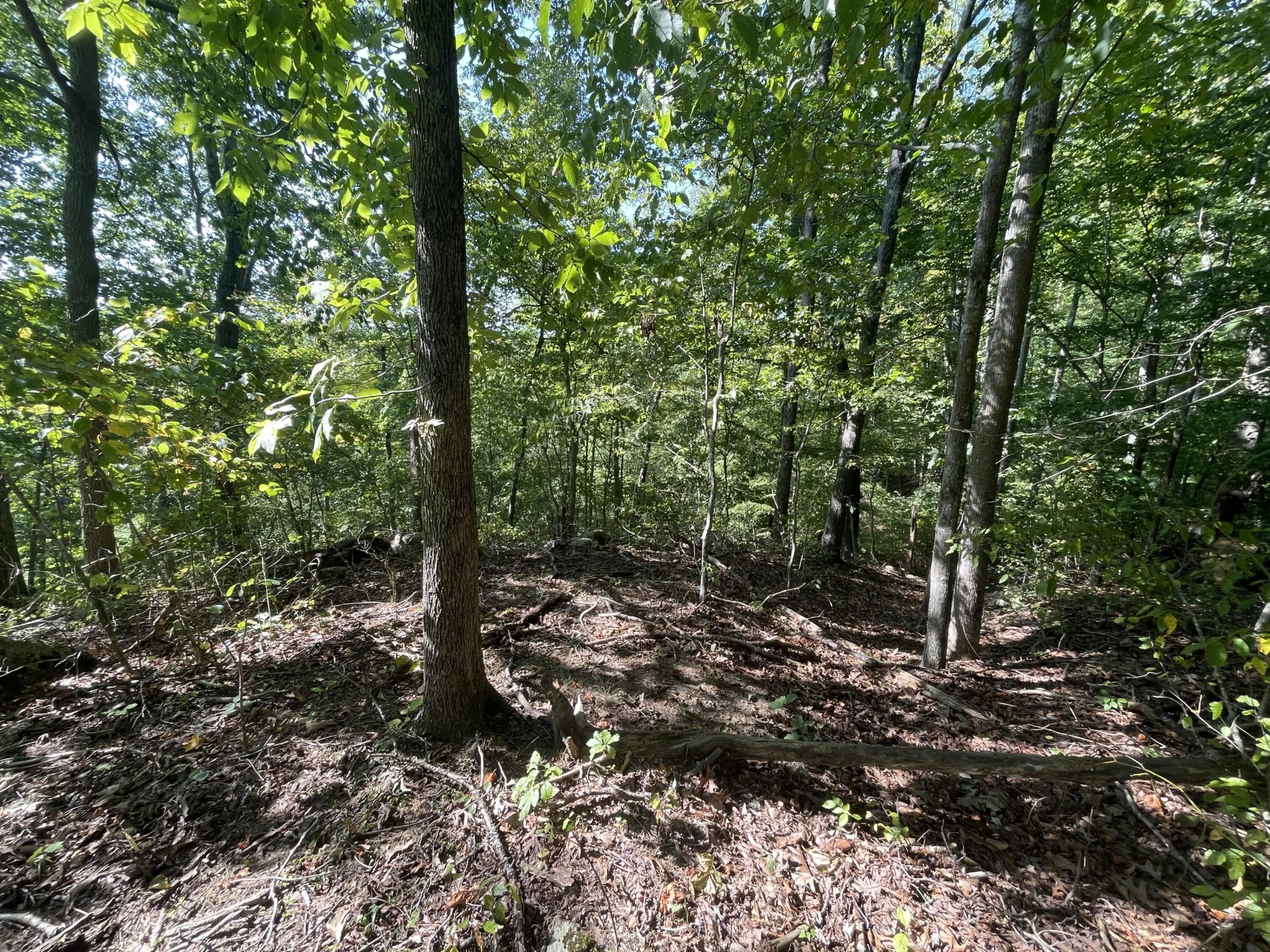 00 Sheep Creek RD - Photo 8