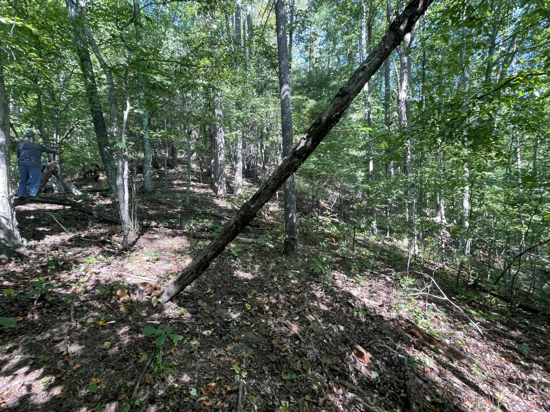00 Sheep Creek RD - Photo 10