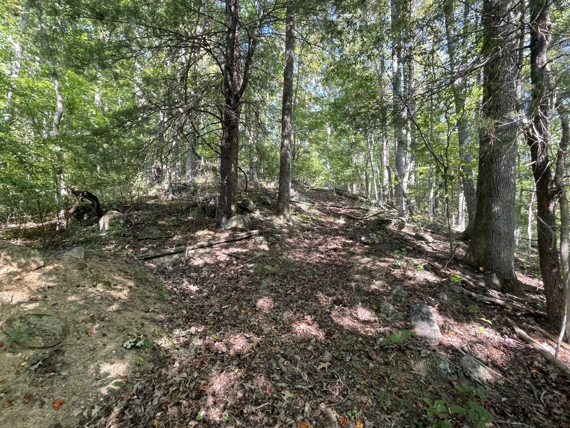 00 Sheep Creek RD - Photo 11