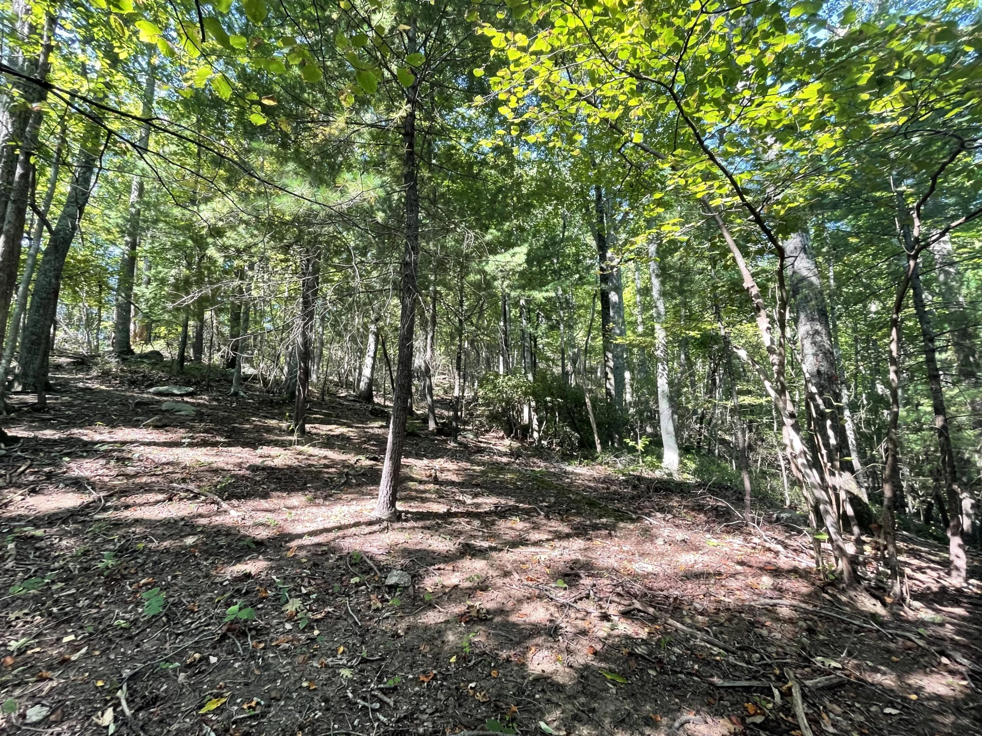 00 Sheep Creek RD - Photo 13