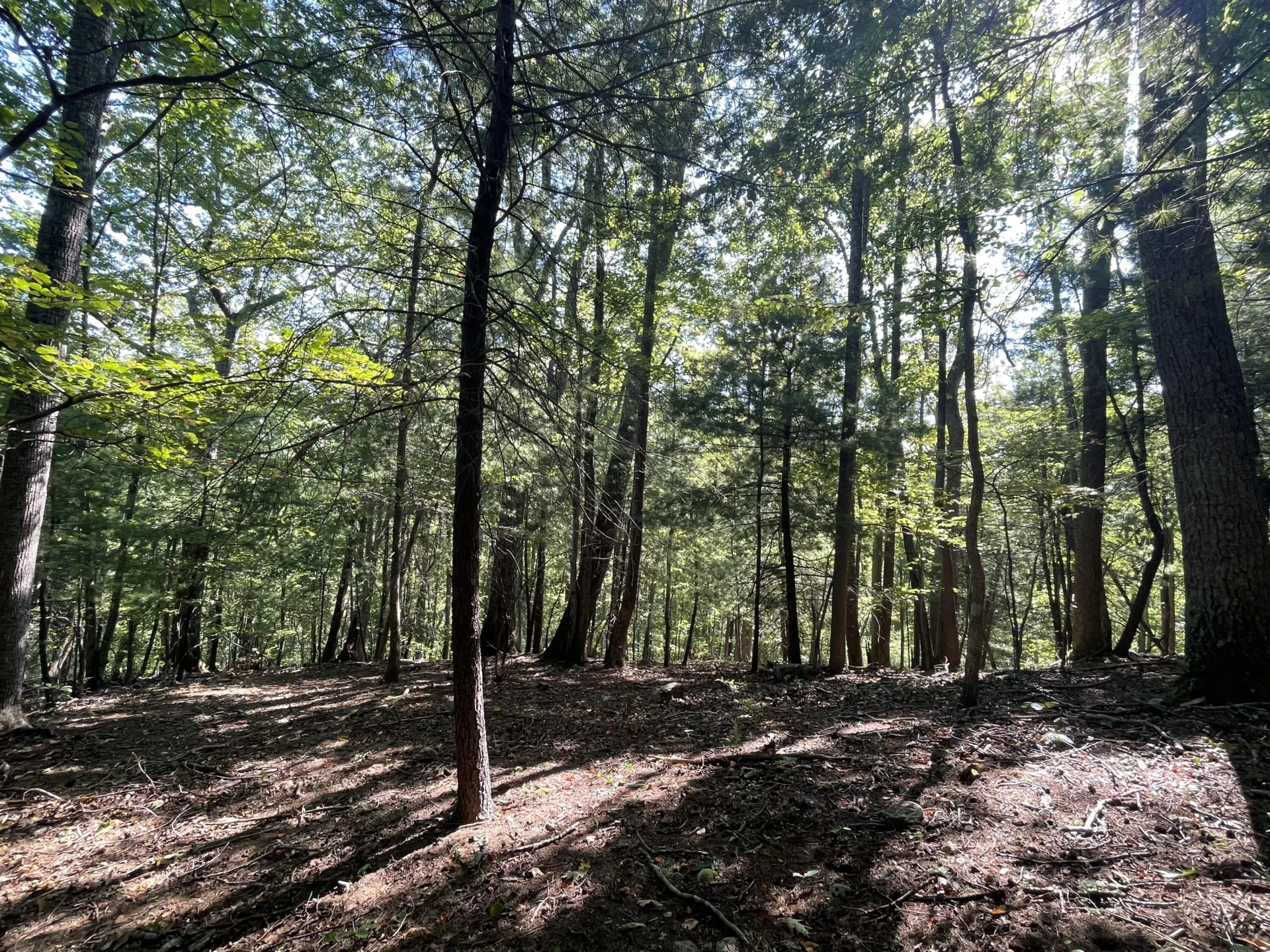 00 Sheep Creek RD - Photo 14