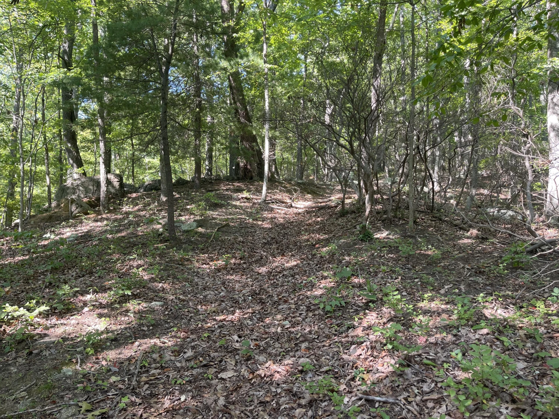 00 Sheep Creek RD - Photo 15
