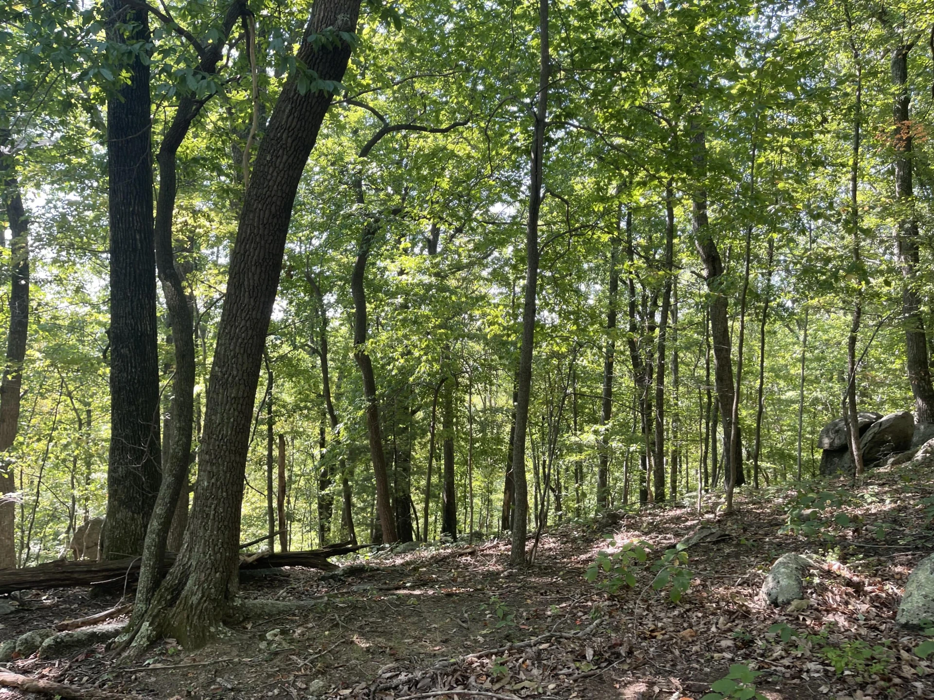 00 Sheep Creek RD - Photo 16