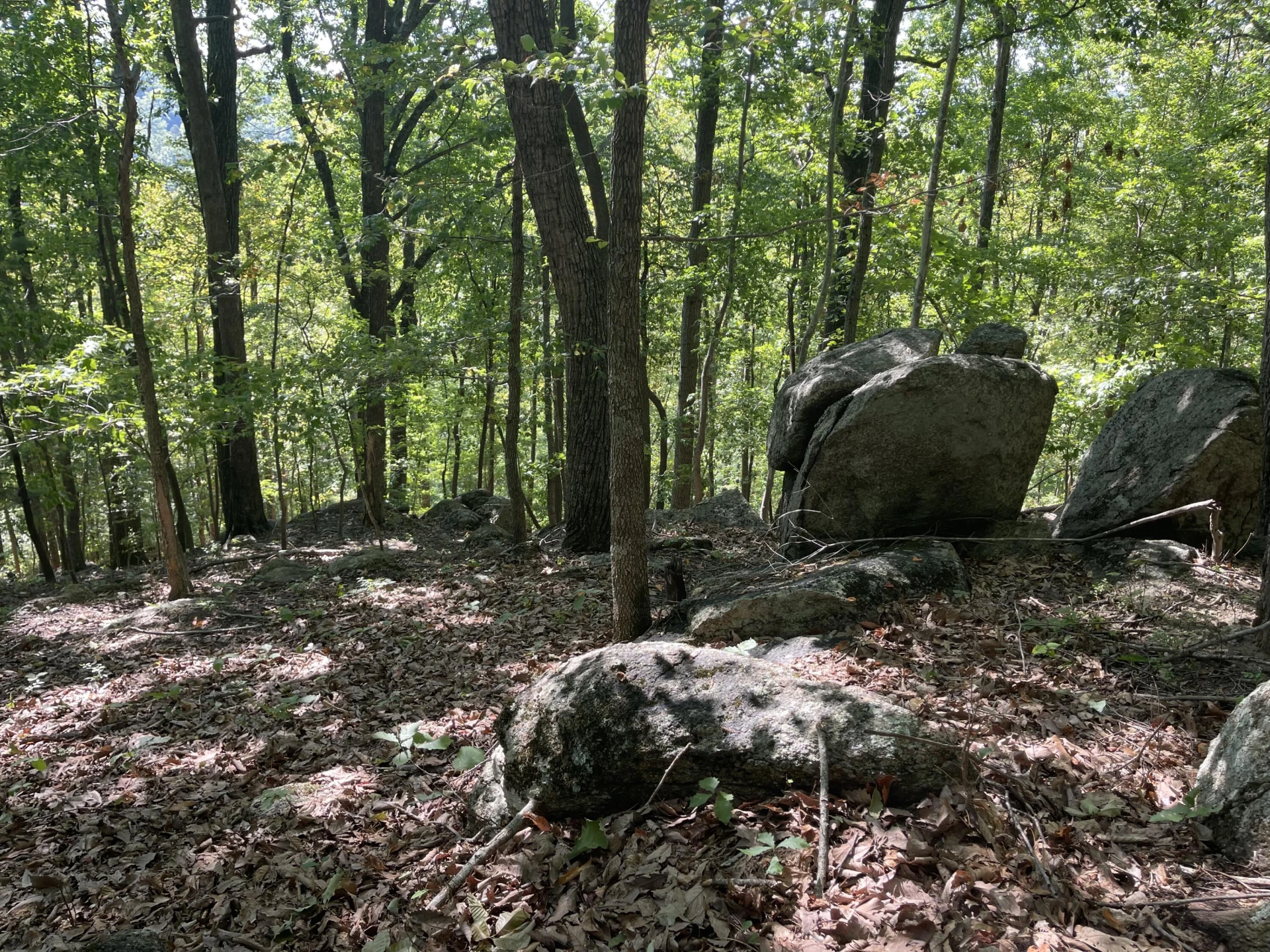 00 Sheep Creek RD - Photo 17