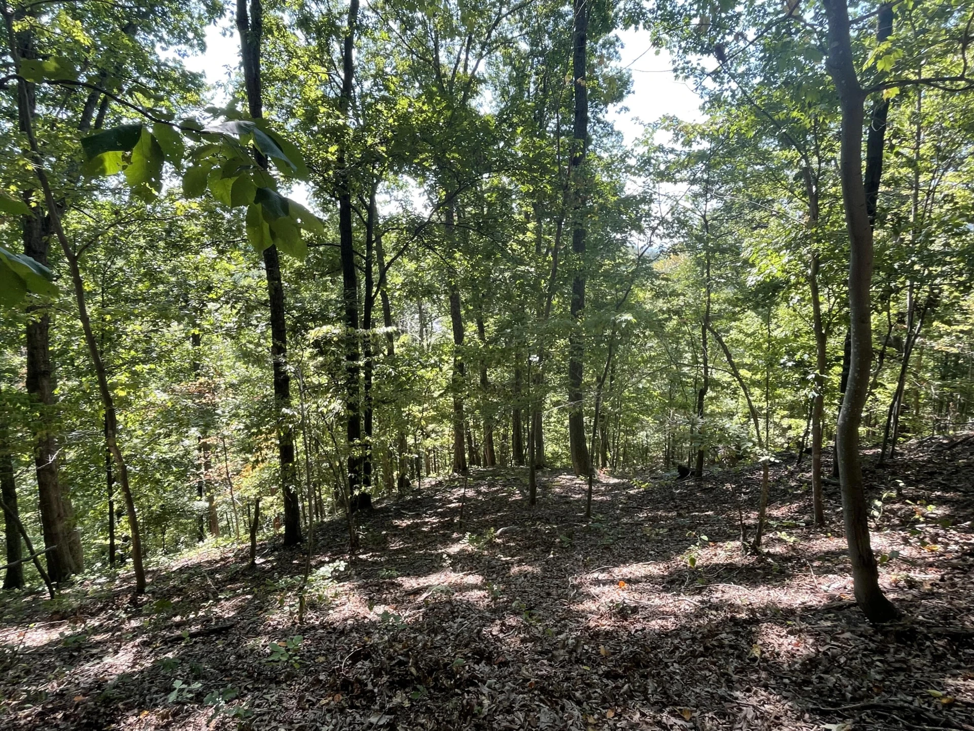 00 Sheep Creek RD - Photo 20