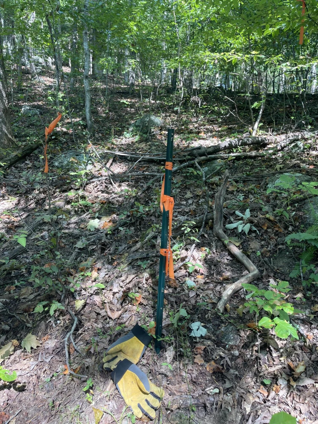 00 Sheep Creek RD - Photo 4