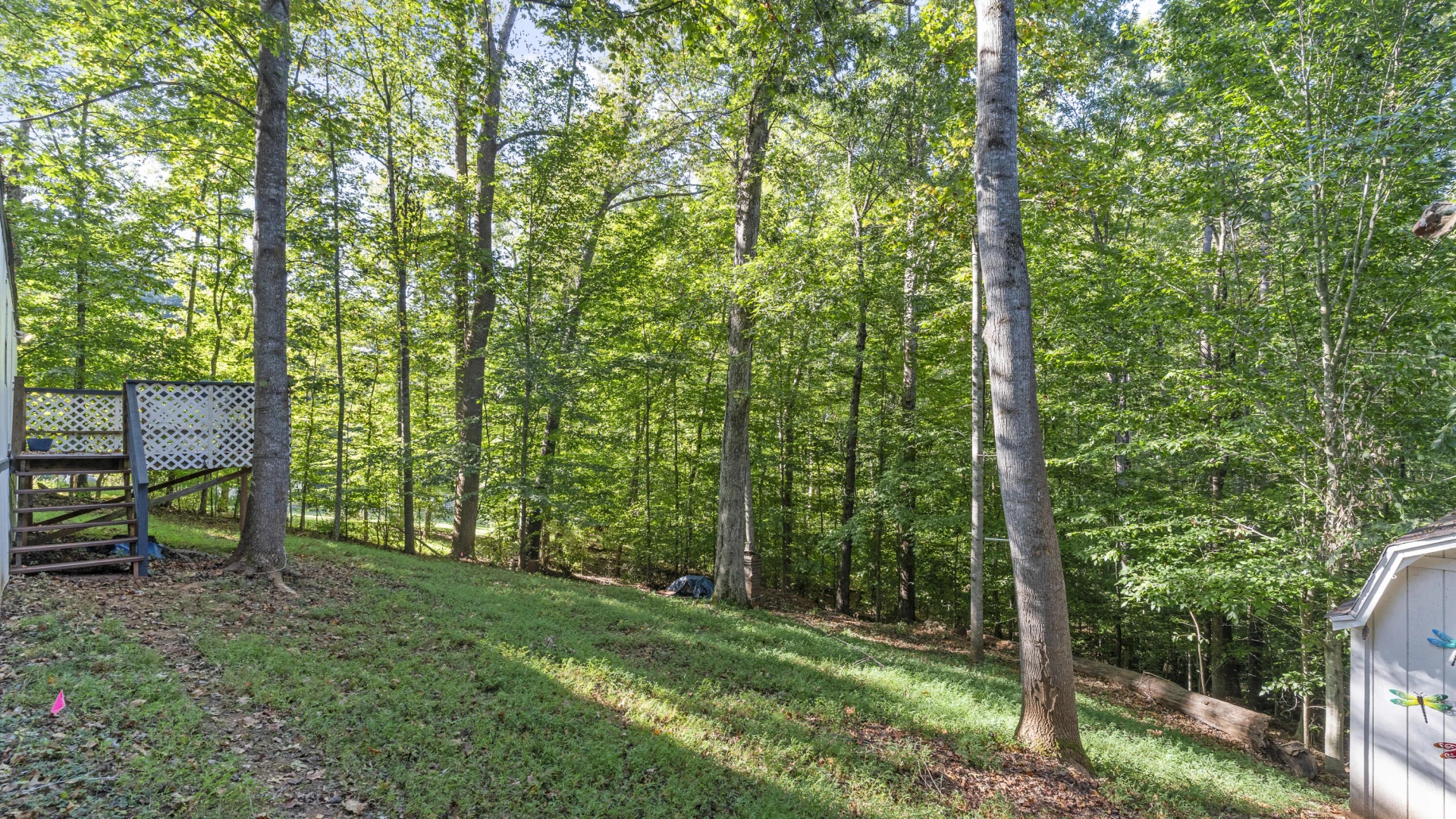116 Tosh LN - Photo 21
