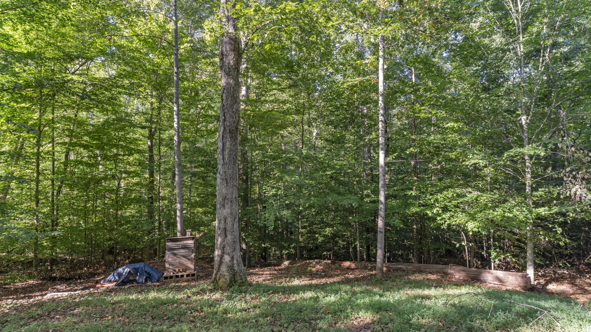 116 Tosh LN - Photo 24