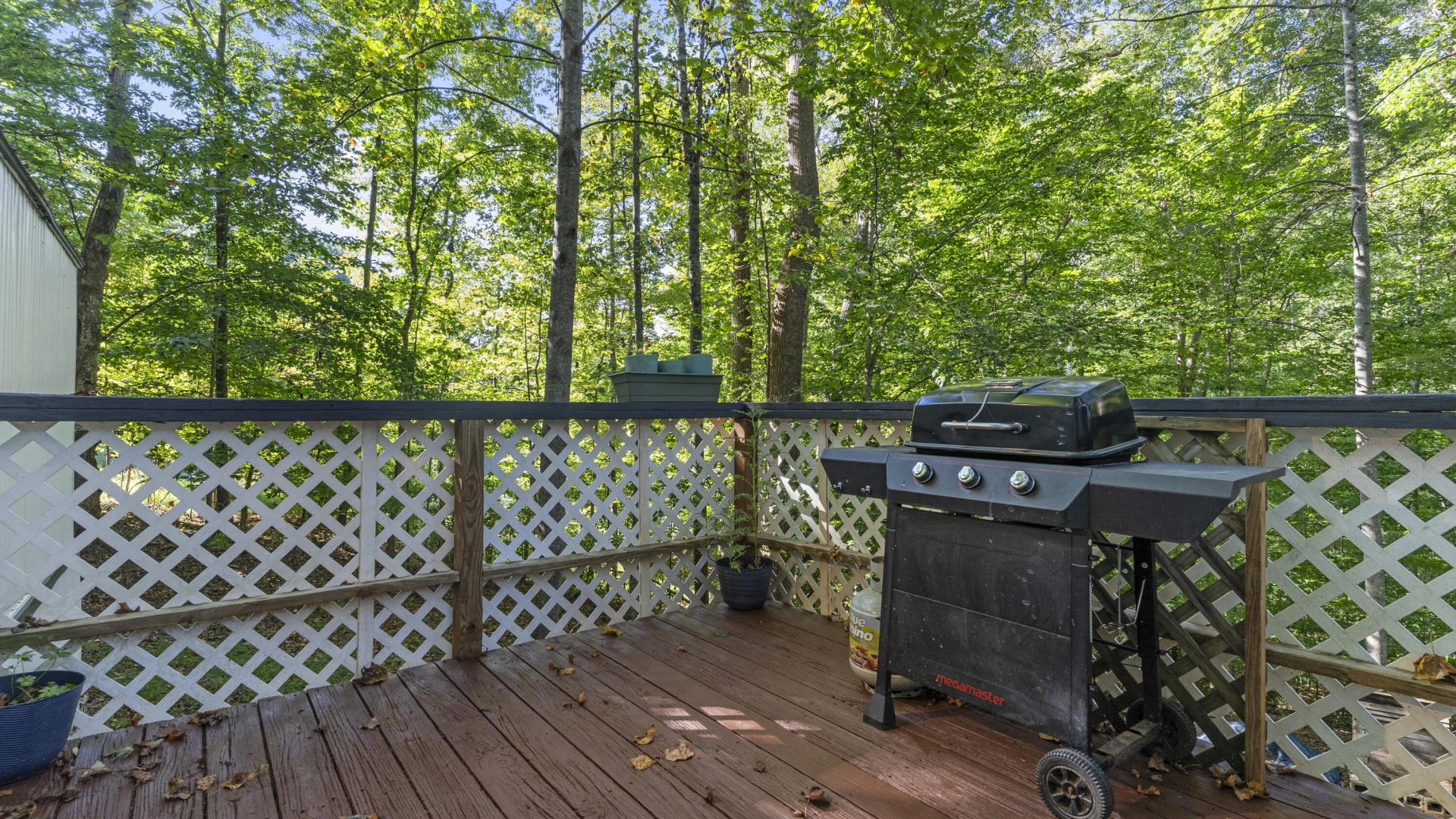 116 Tosh LN - Photo 25