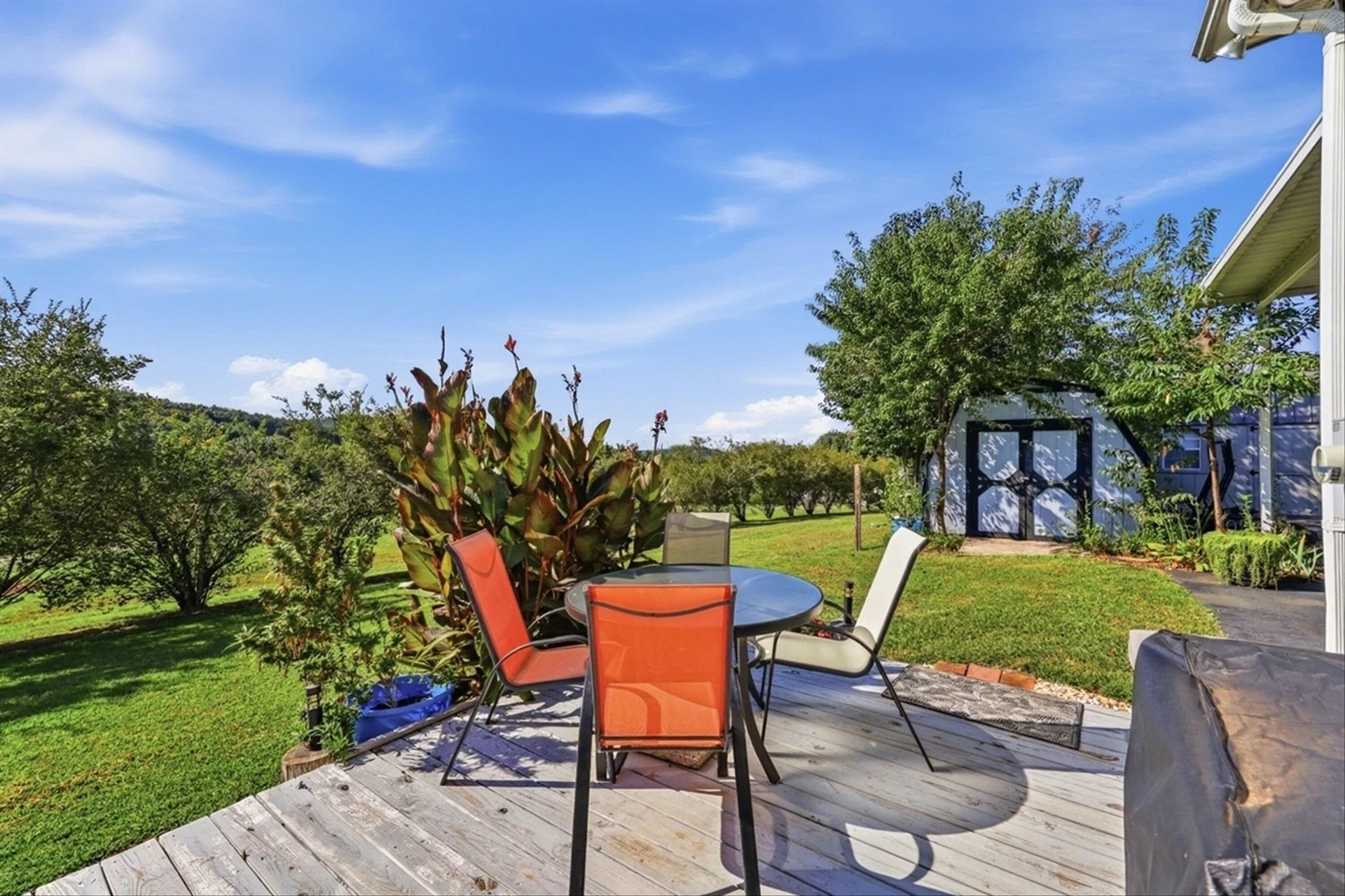 28 Chestnut Tree RD - Photo 35