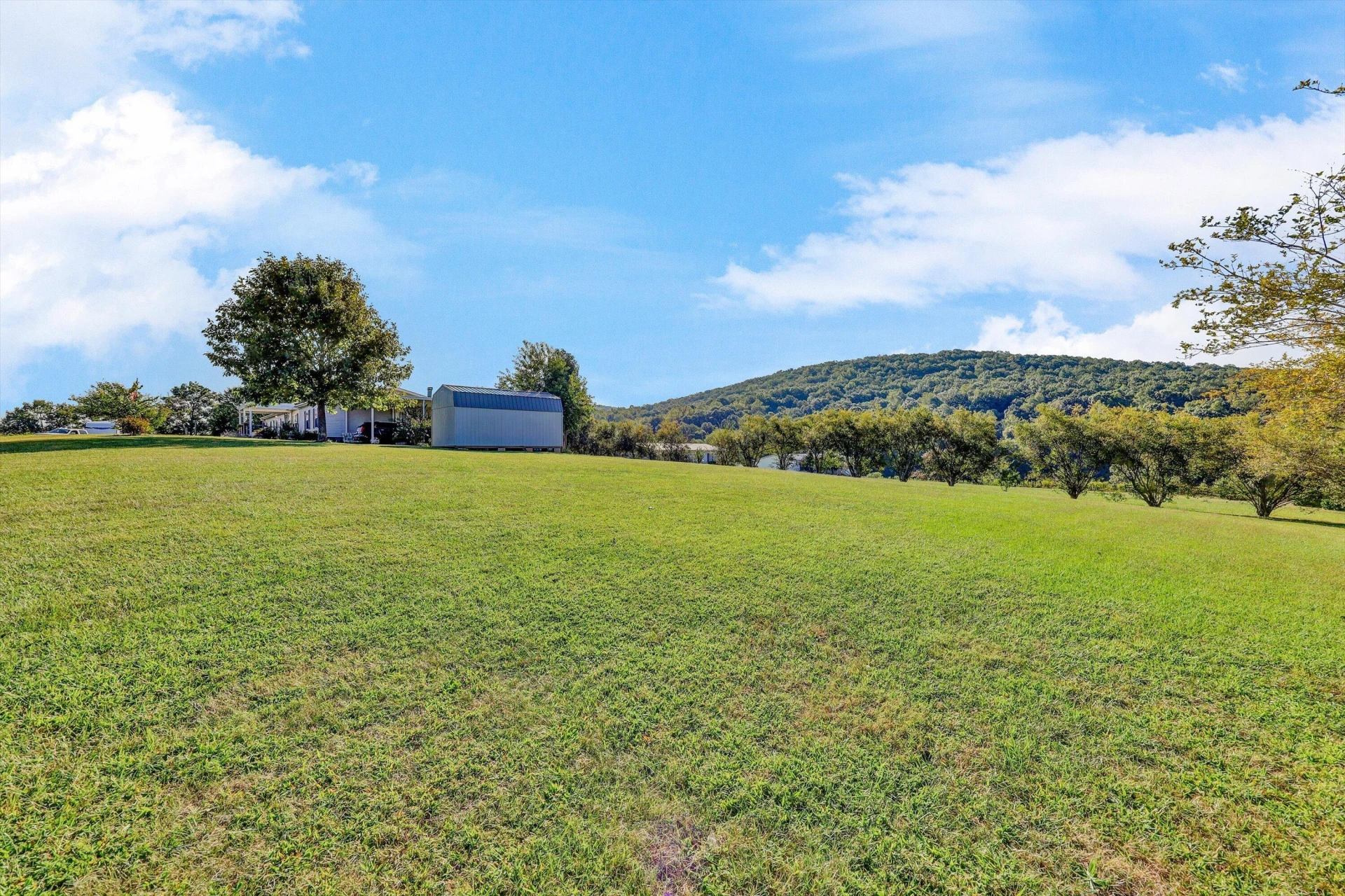 28 Chestnut Tree RD - Photo 51