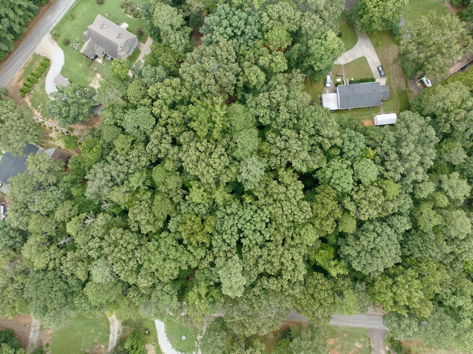 0 Chestnut DR - Photo 13