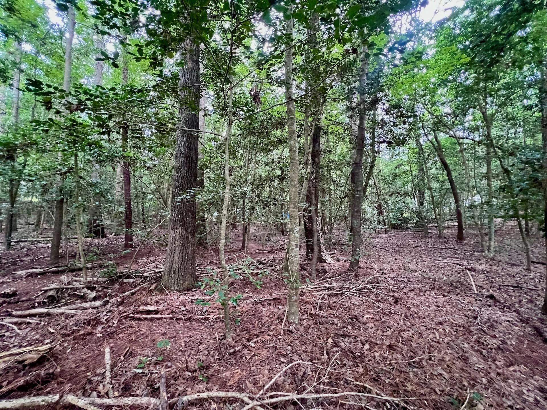 0 Chestnut DR - Photo 28