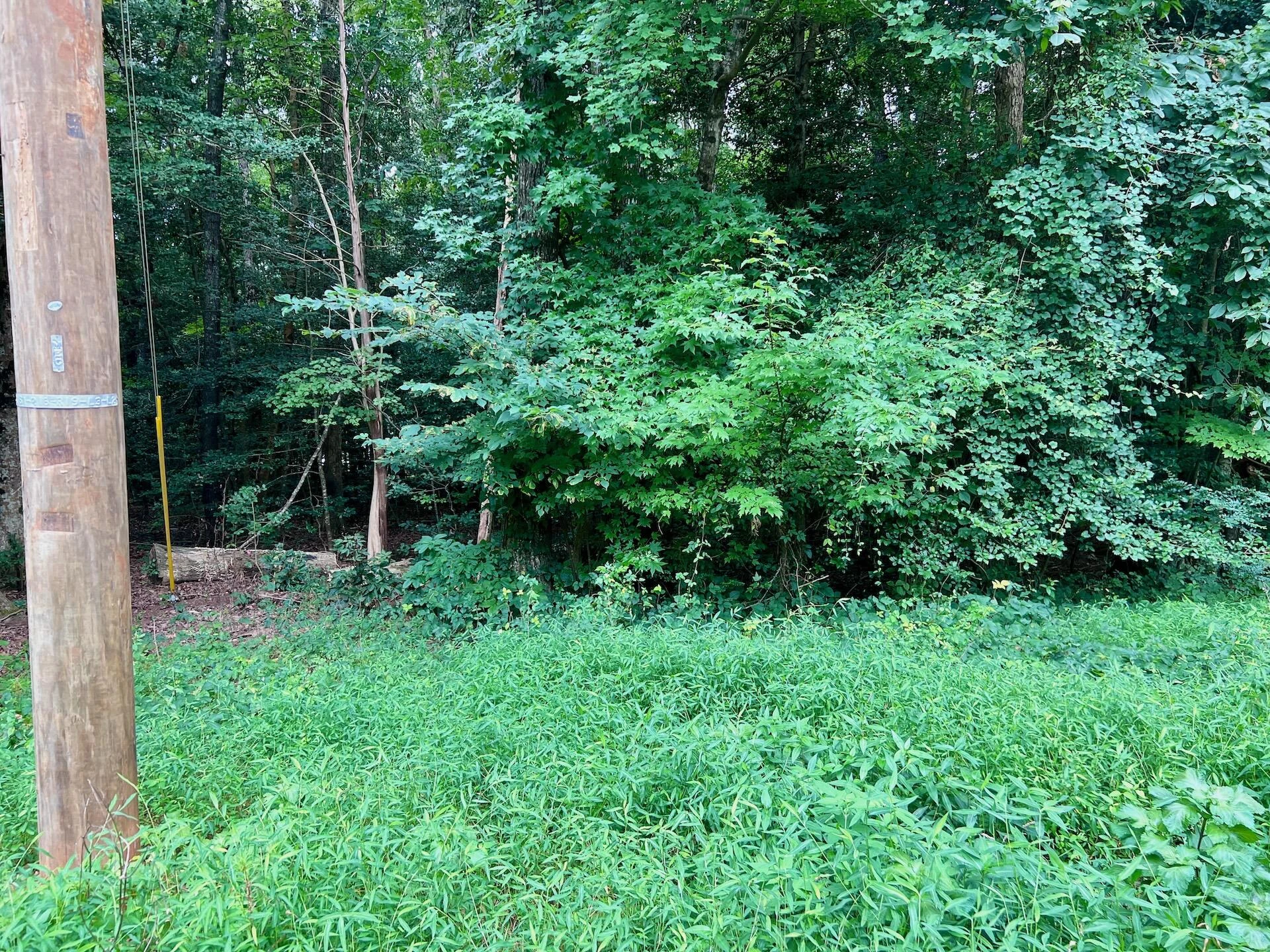 0 Chestnut DR - Photo 33