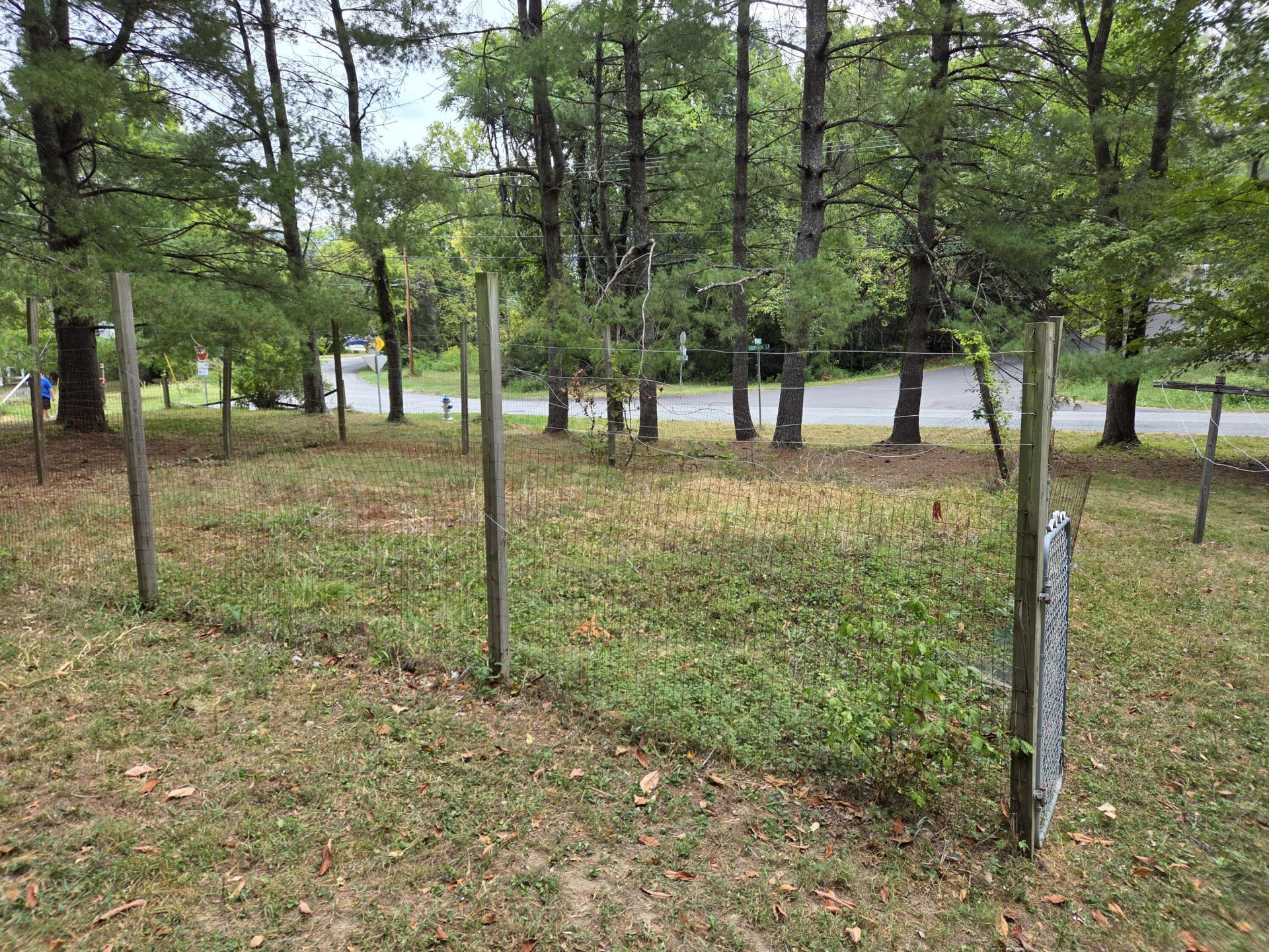 2611 Creekside DR - Photo 8