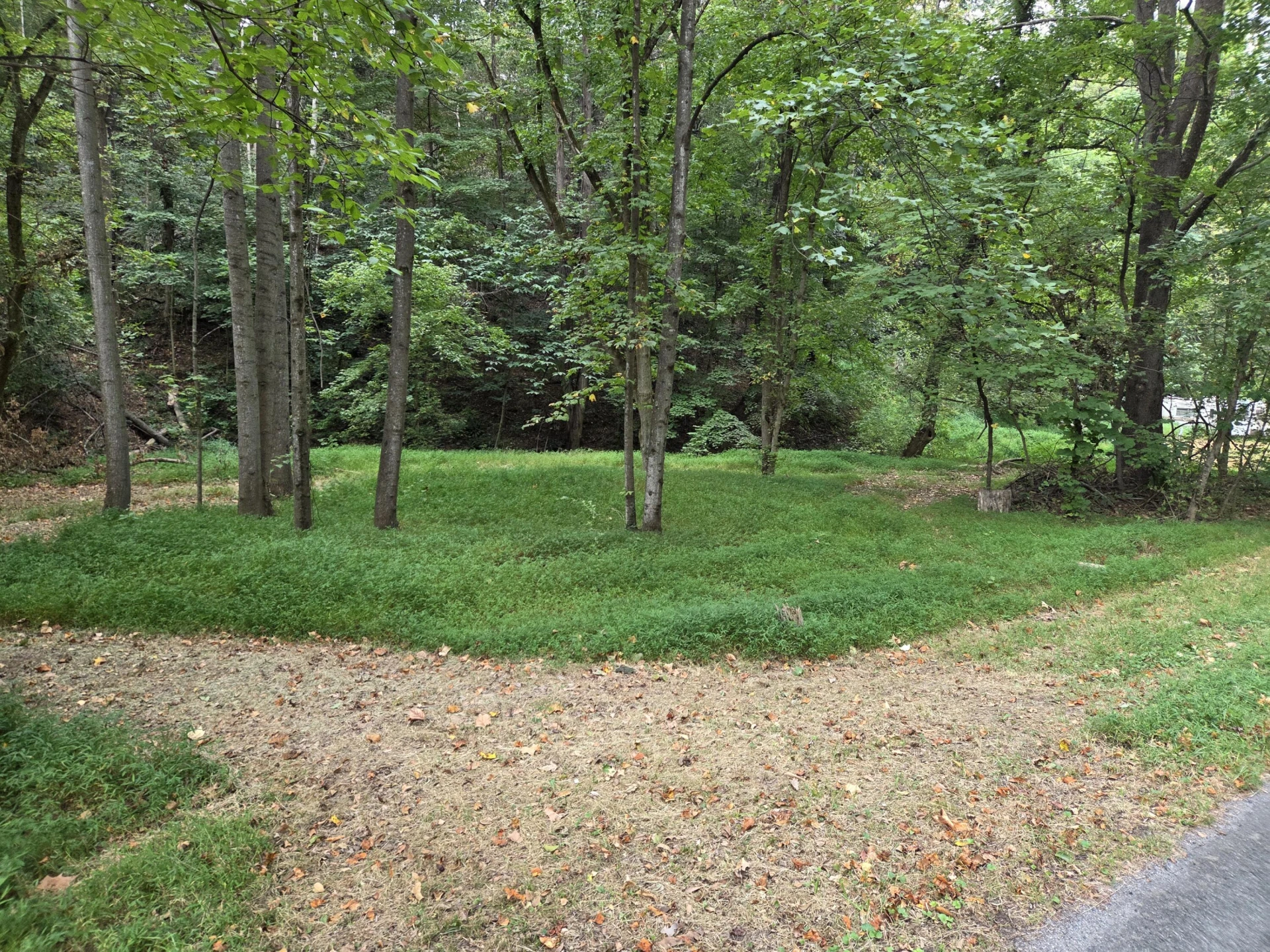 2649 Creekside DR - Photo 6
