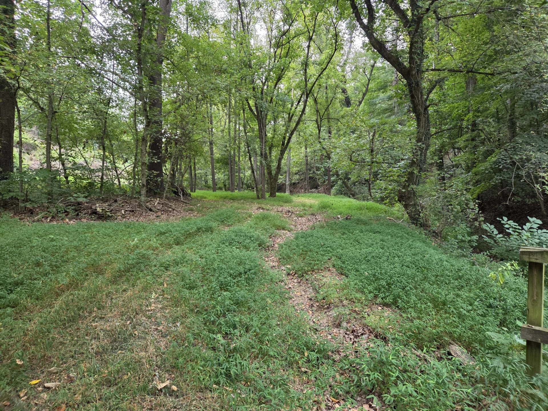 2649 Creekside DR - Photo 7
