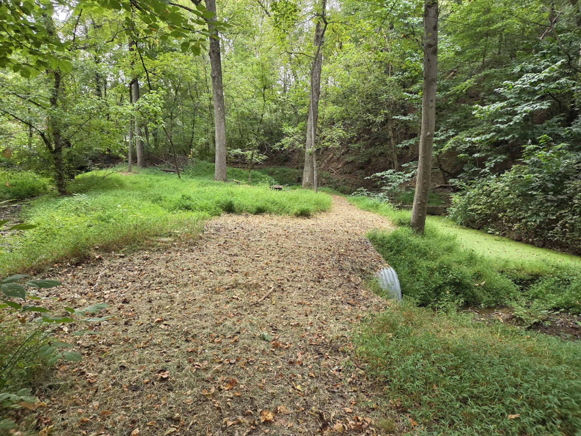 2649 Creekside DR - Photo 8