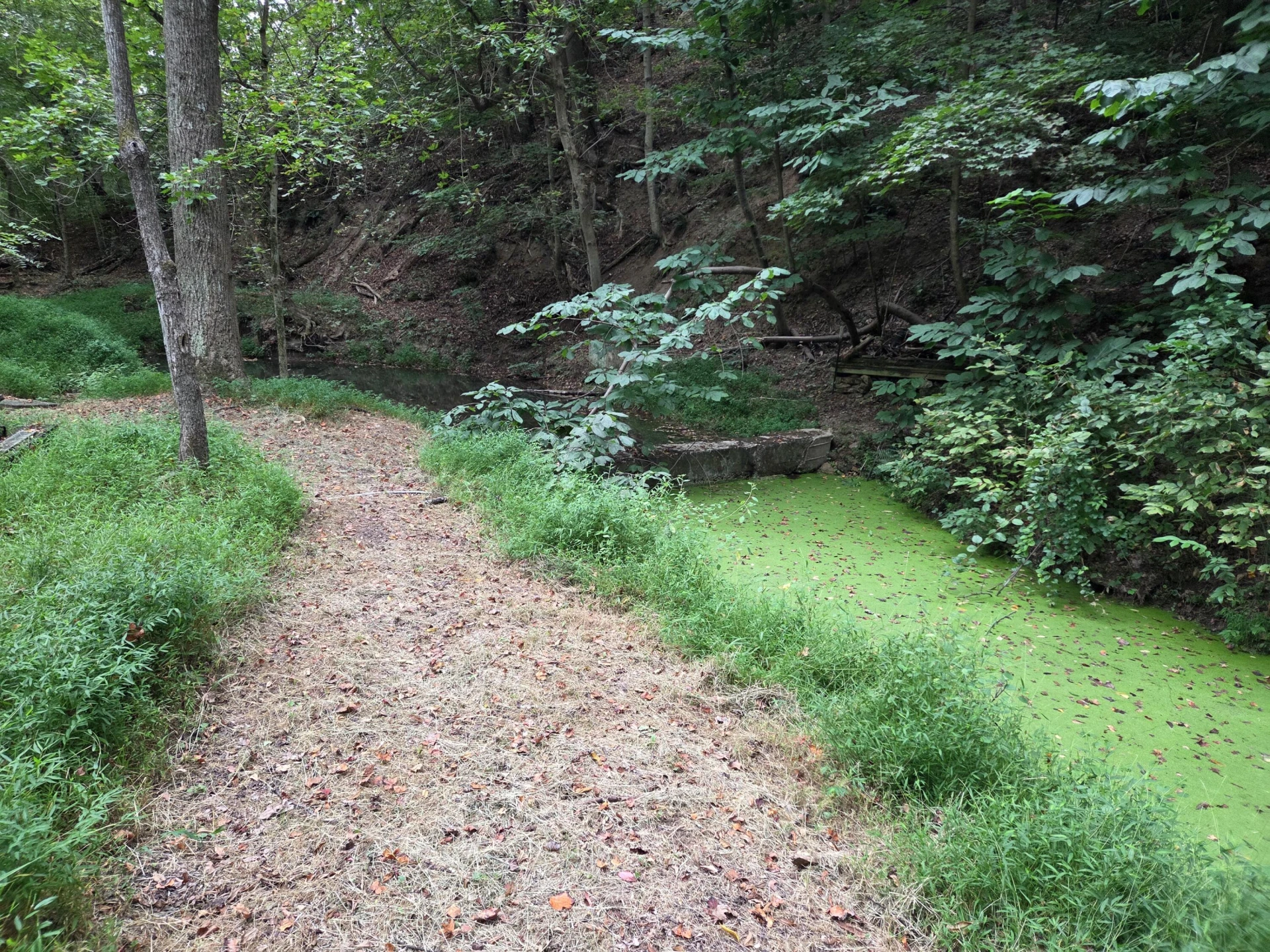 2649 Creekside DR - Photo 9