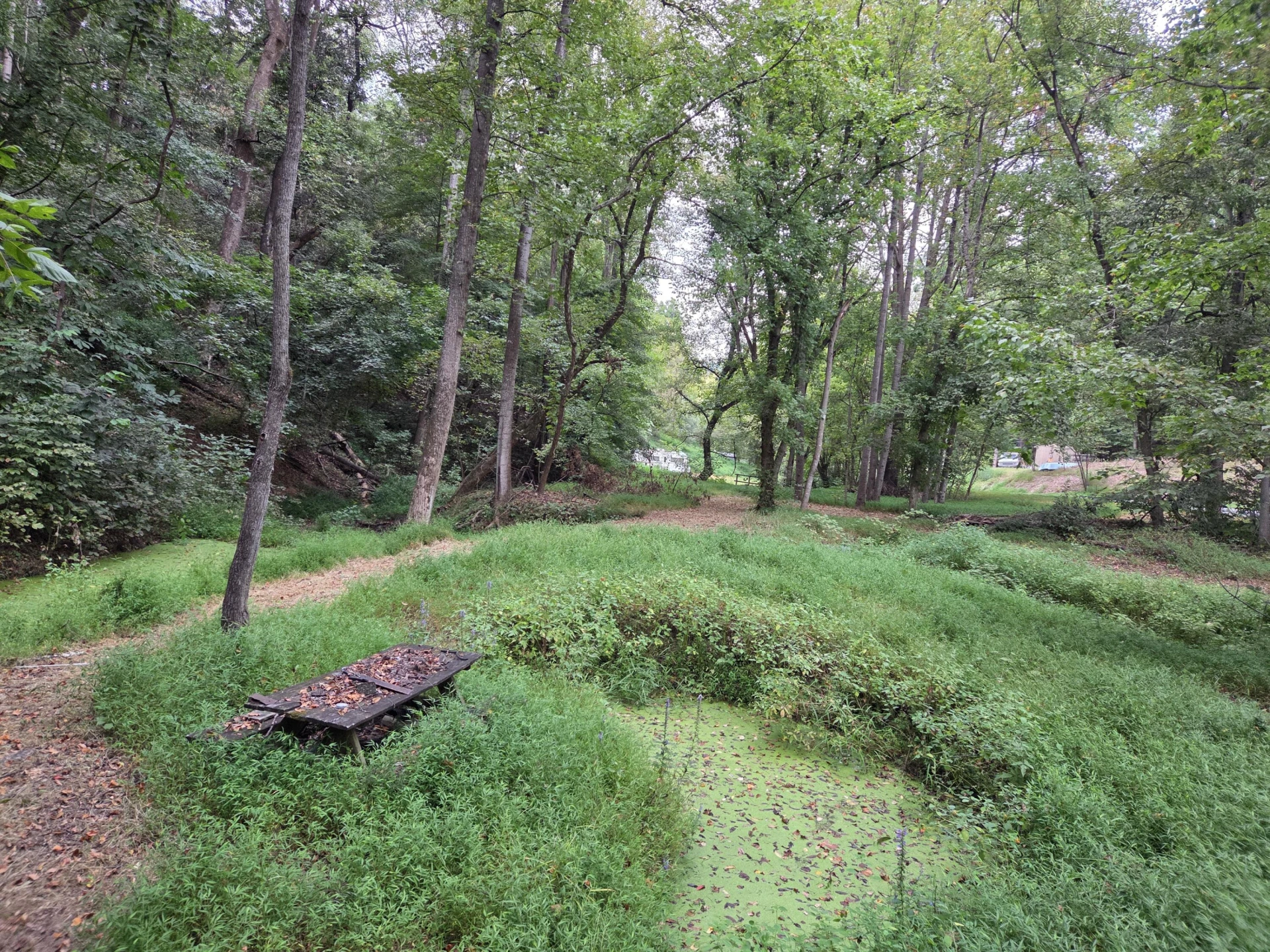 2649 Creekside DR - Photo 10