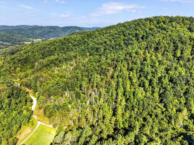 Shawsville, VA, 24162