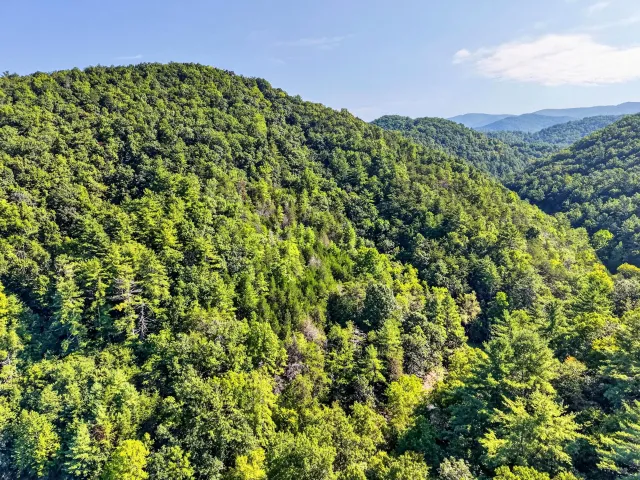 Shawsville, VA, 24162
