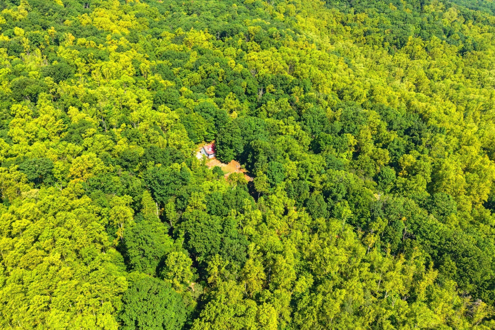 1909 Karnes RD - Photo 37