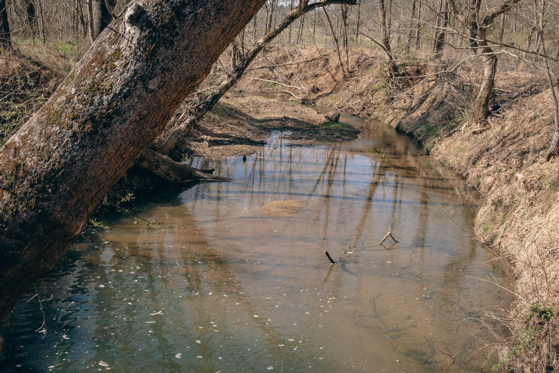 0 Goose Creek Valley RD - Photo 3