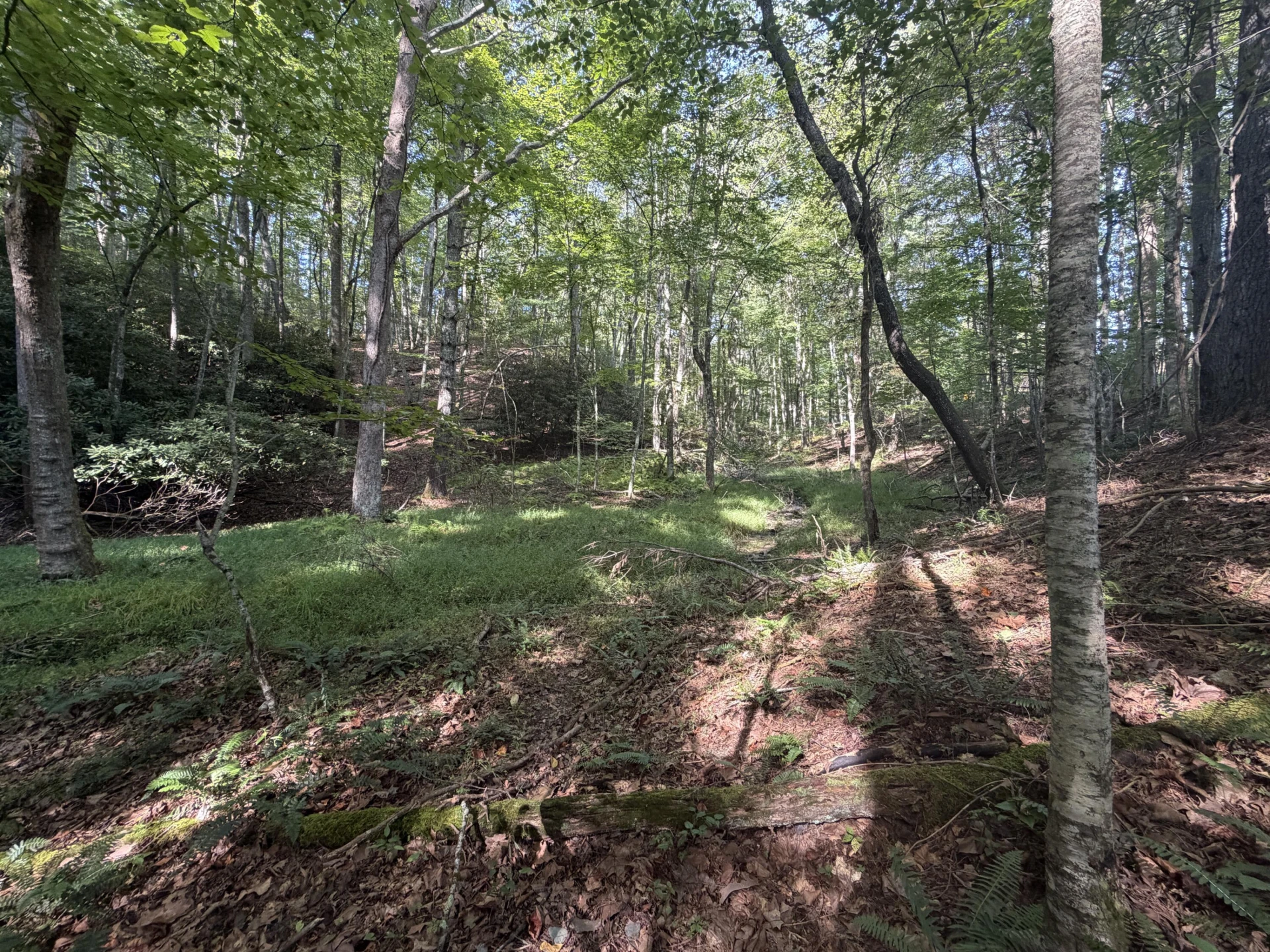 0 Alum Ridge RD NW - Photo 12