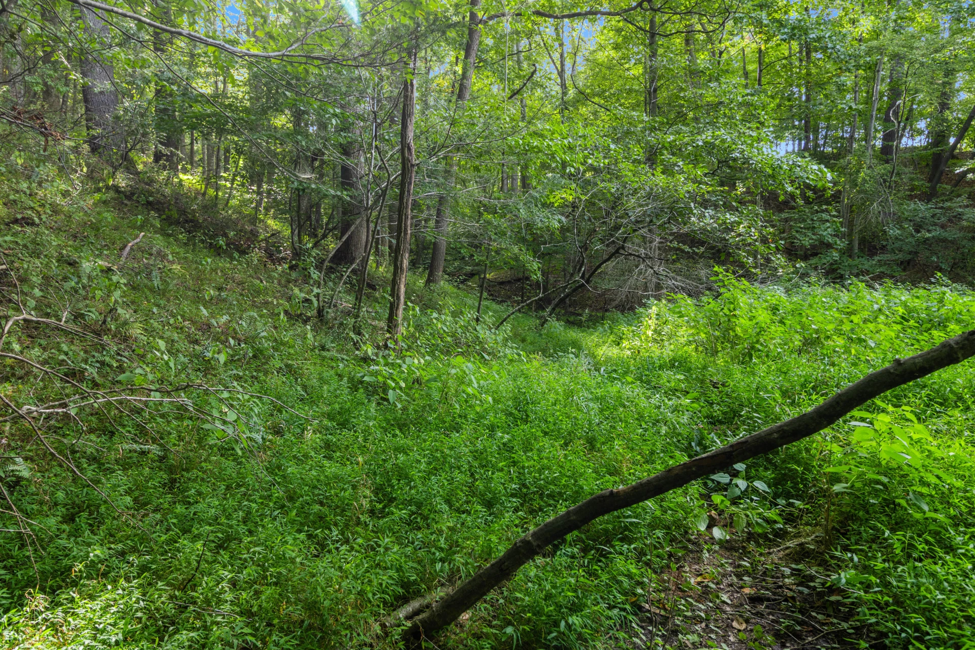 0 Hickory PL - Photo 22