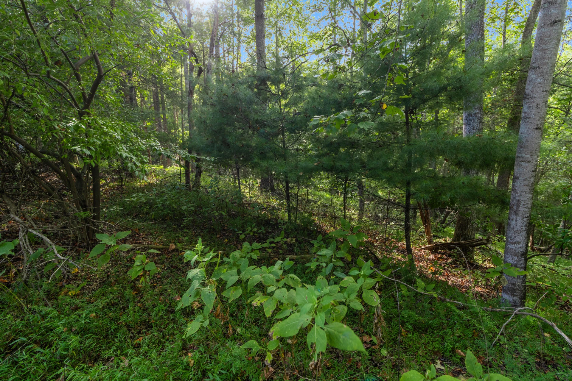 0 Hickory PL - Photo 24
