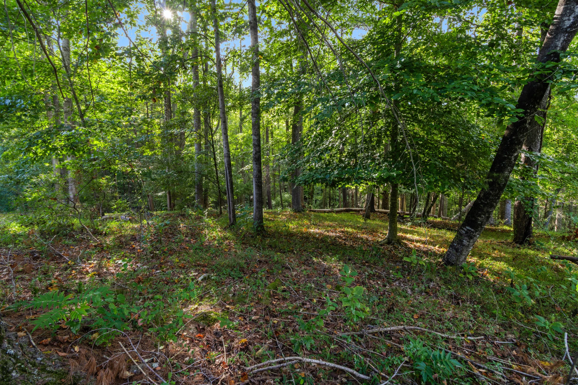 0 Hickory PL - Photo 25