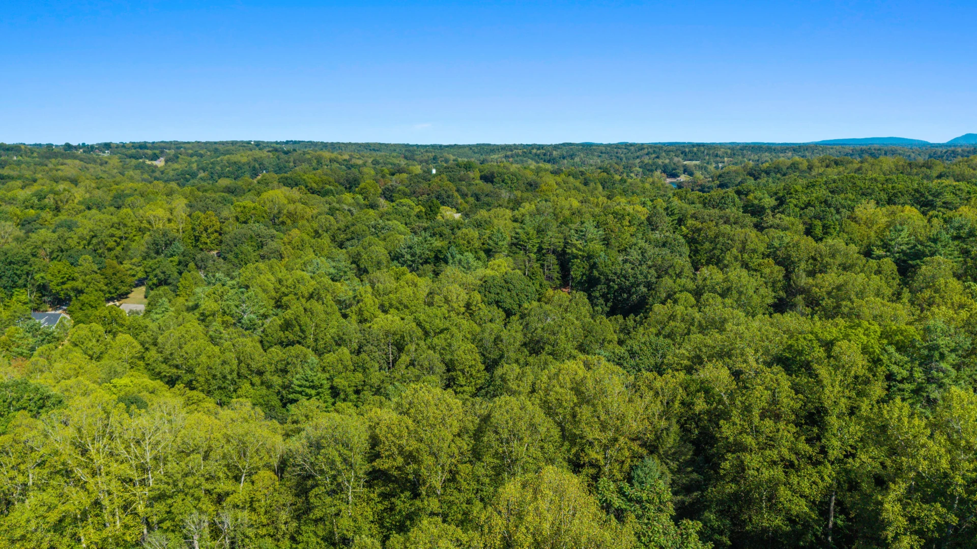 0 Hickory PL - Photo 28