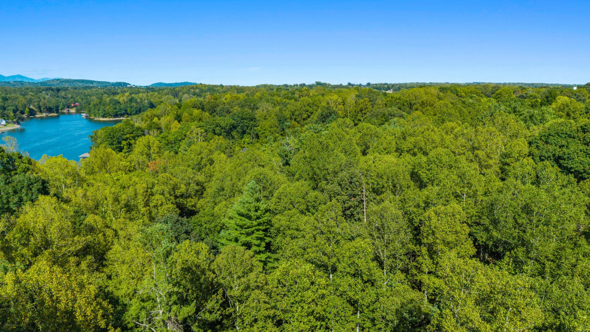 0 Hickory PL - Photo 43